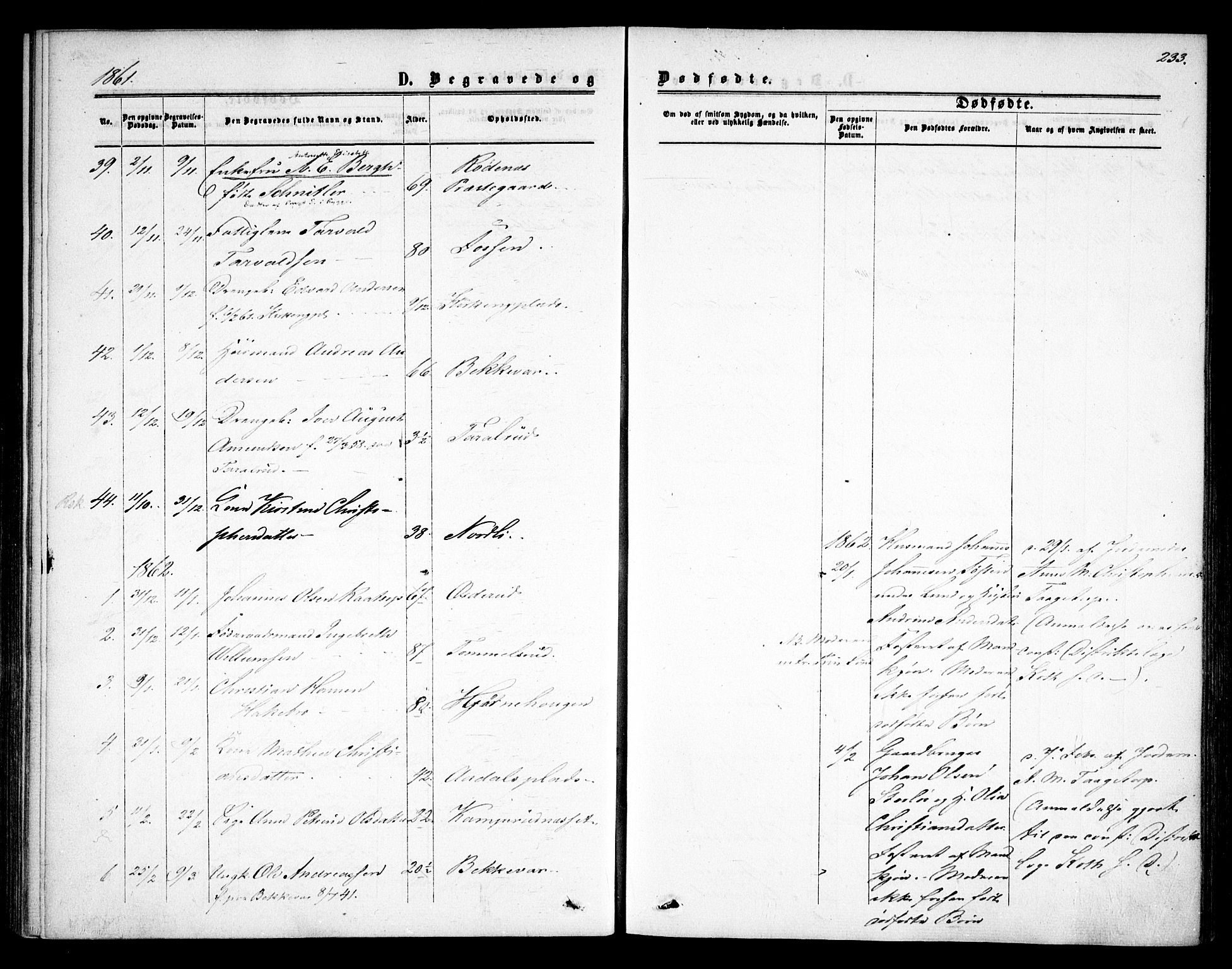 Rødenes prestekontor Kirkebøker, SAO/A-2005/F/Fa/L0007: Parish register (official) no. I 7, 1860-1869, p. 233