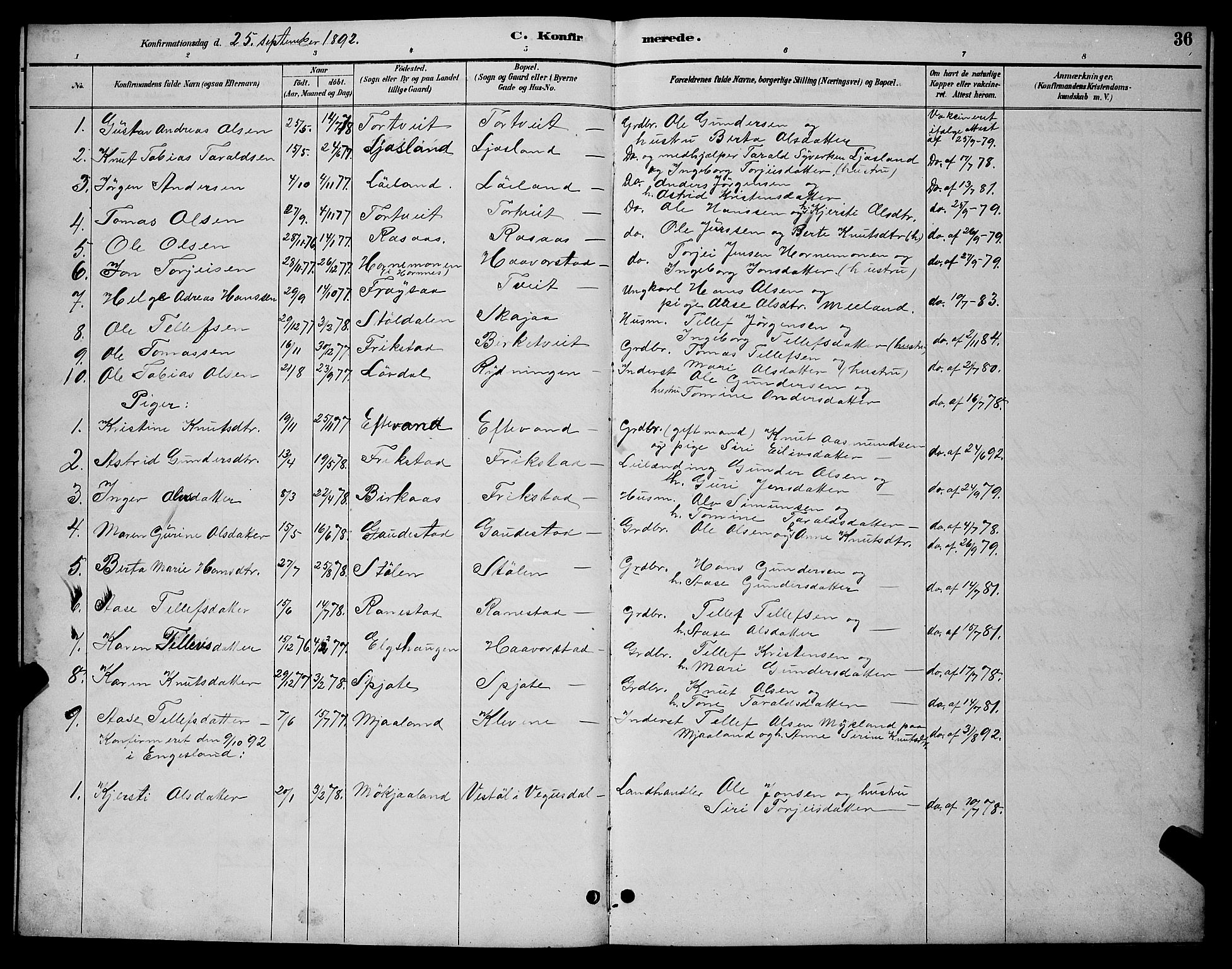 Evje sokneprestkontor, AV/SAK-1111-0008/F/Fb/Fbc/L0004: Parish register (copy) no. B 4, 1890-1900, p. 36