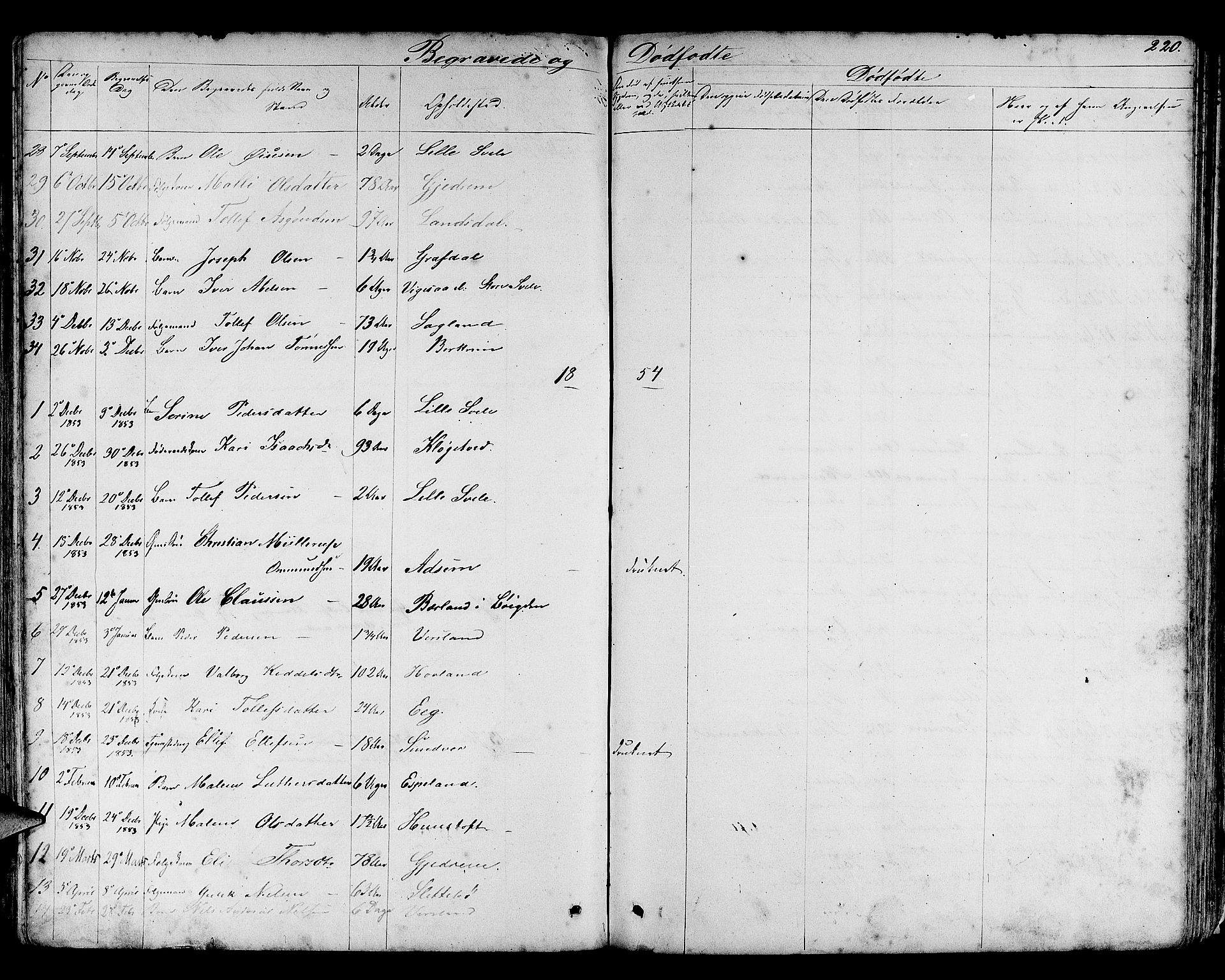 Helleland sokneprestkontor, SAST/A-101810: Parish register (copy) no. B 3, 1847-1886, p. 220