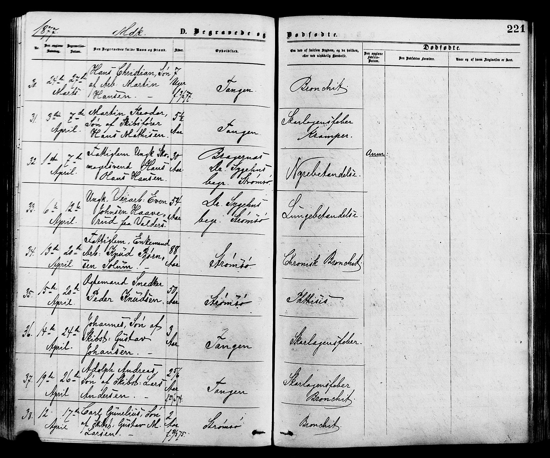 Strømsø kirkebøker, AV/SAKO-A-246/F/Fa/L0019: Parish register (official) no. I 19, 1874-1877, p. 221