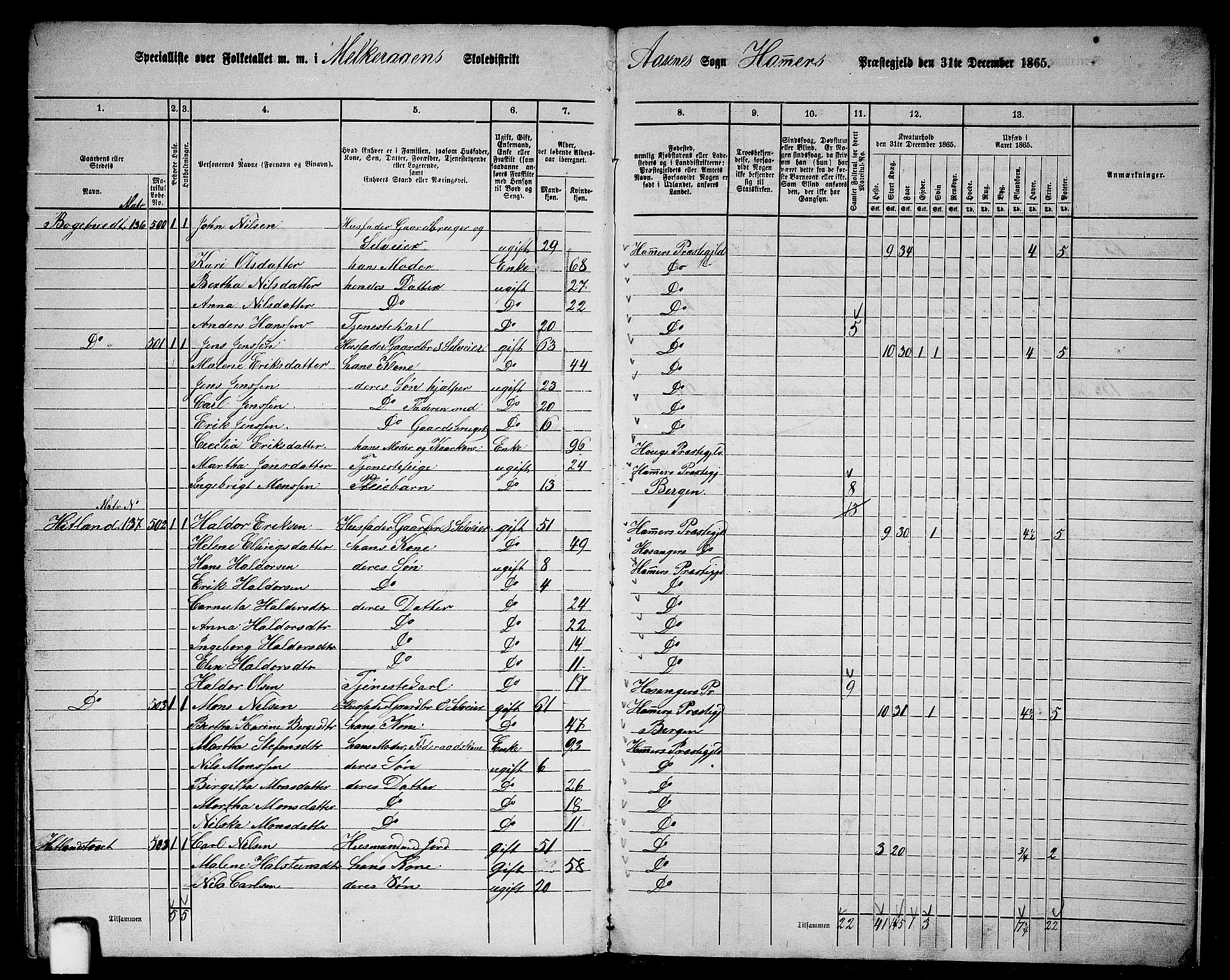 RA, 1865 census for Hamre, 1865, p. 215