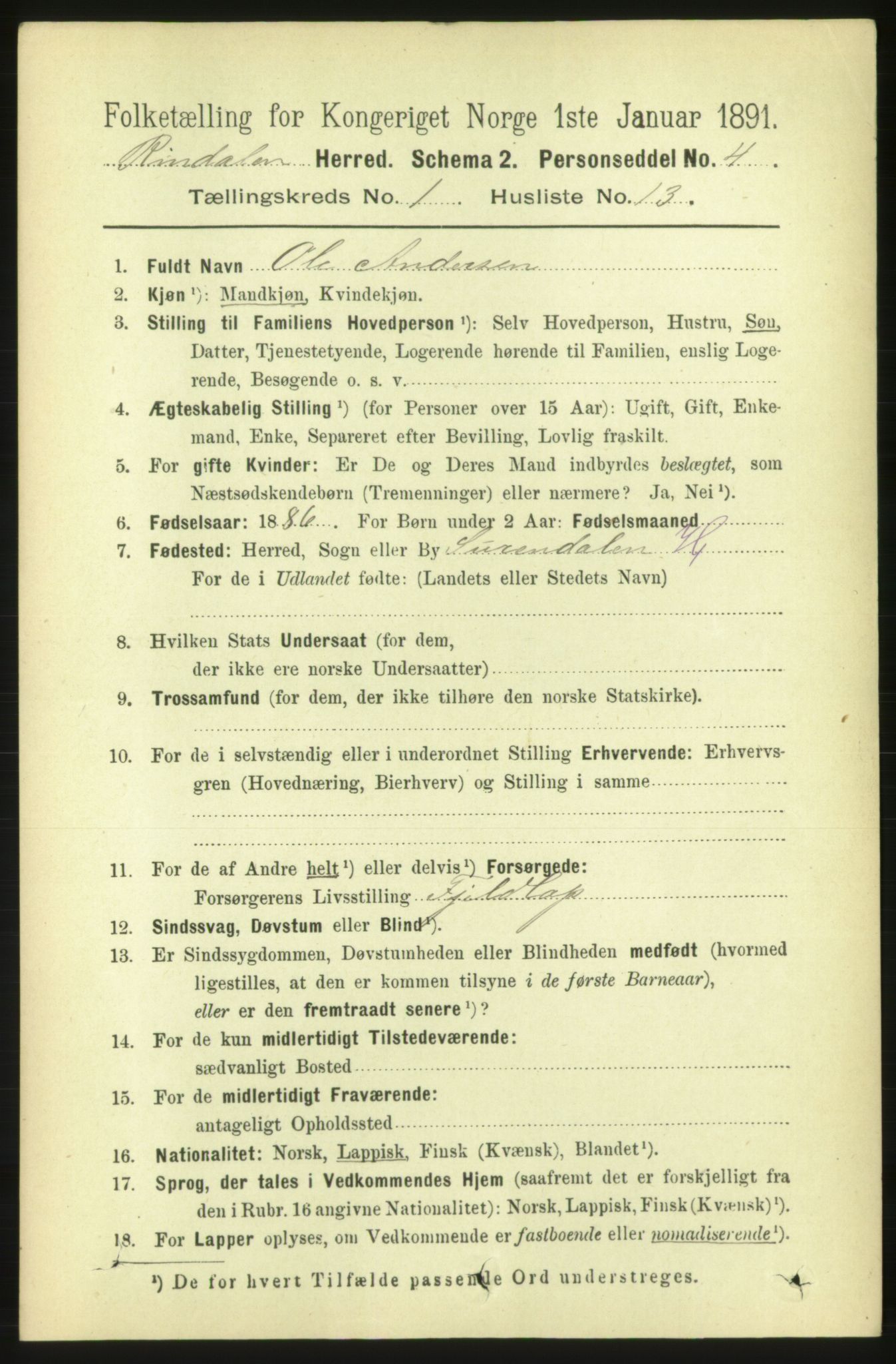 RA, 1891 census for 1567 Rindal, 1891, p. 133