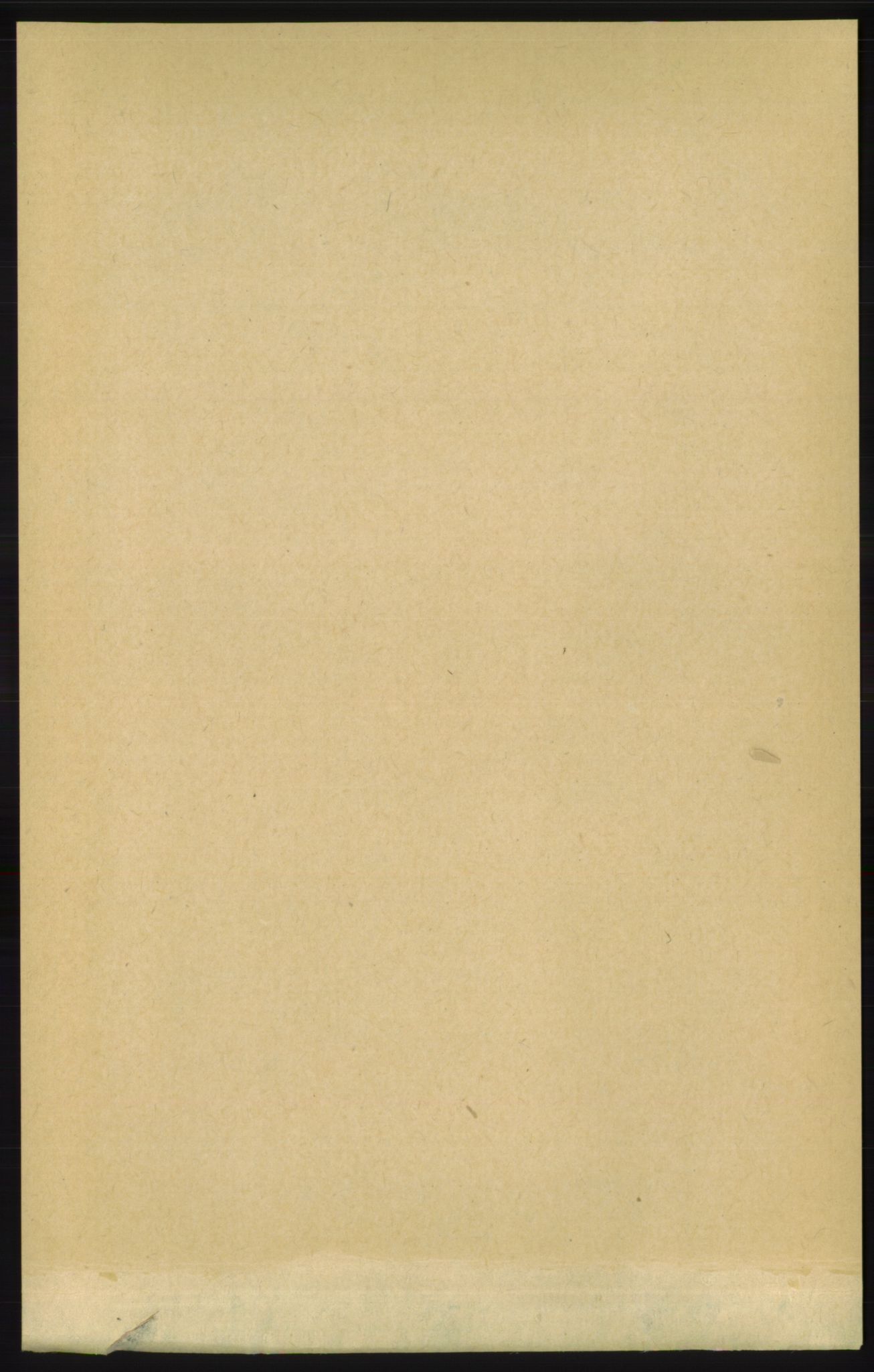 RA, 1891 census for 1154 Skjold, 1891, p. 1347