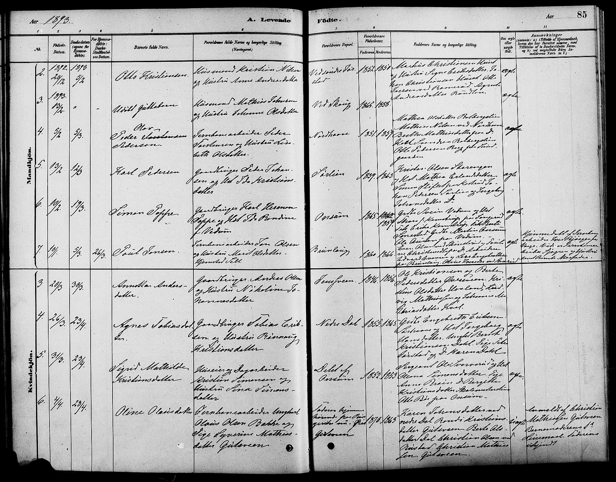 Fåberg prestekontor, SAH/PREST-086/H/Ha/Haa/L0008: Parish register (official) no. 8, 1879-1898, p. 85