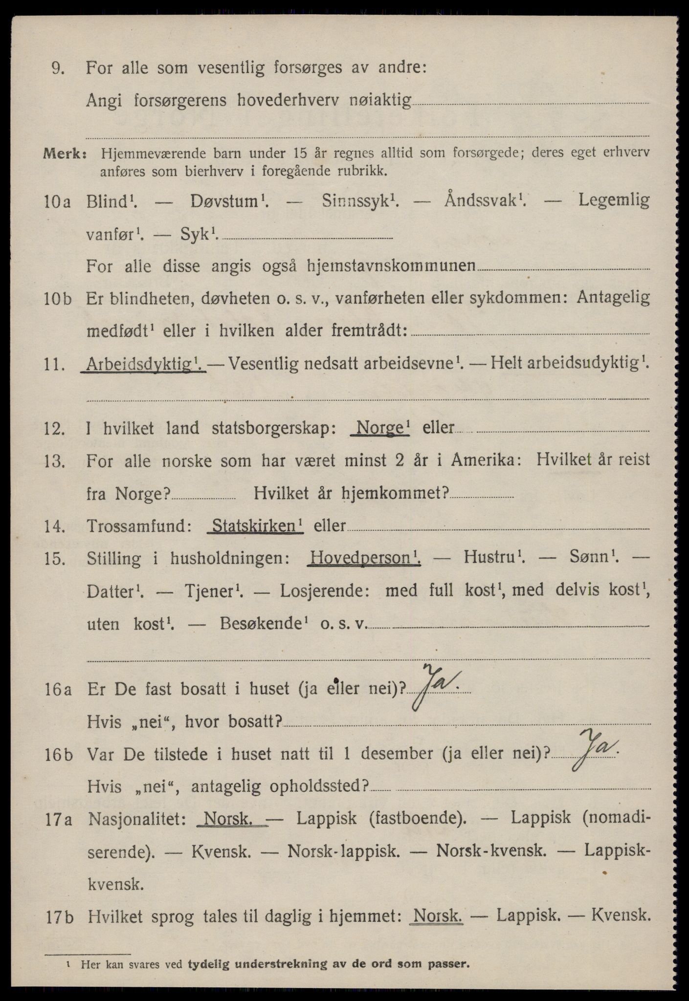 SAT, 1920 census for Støren, 1920, p. 2959