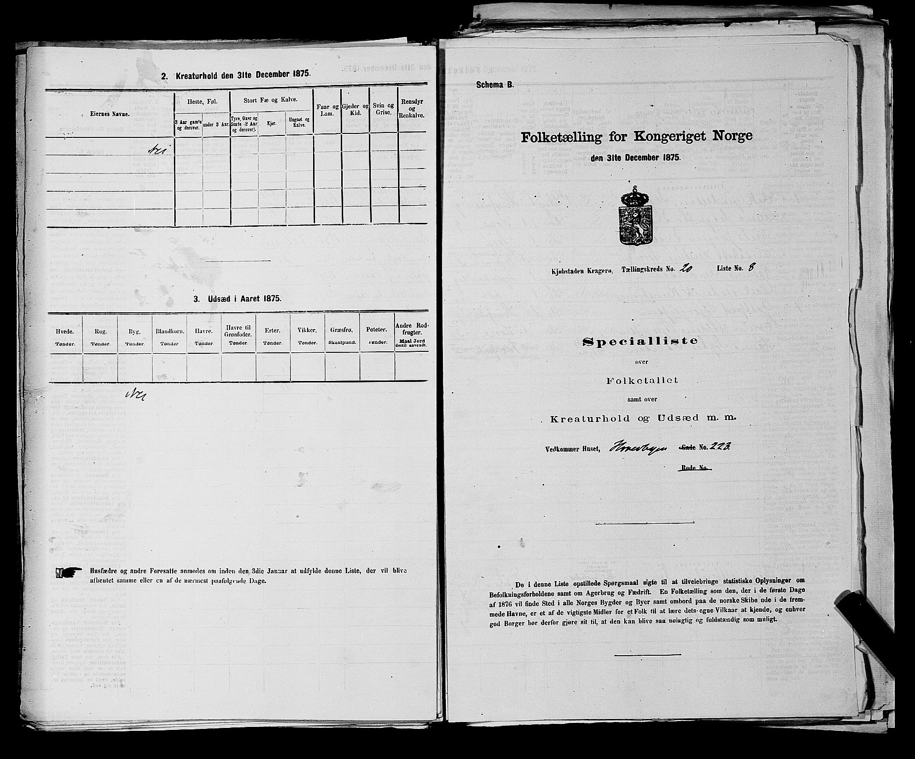 SAKO, 1875 census for 0801P Kragerø, 1875, p. 438