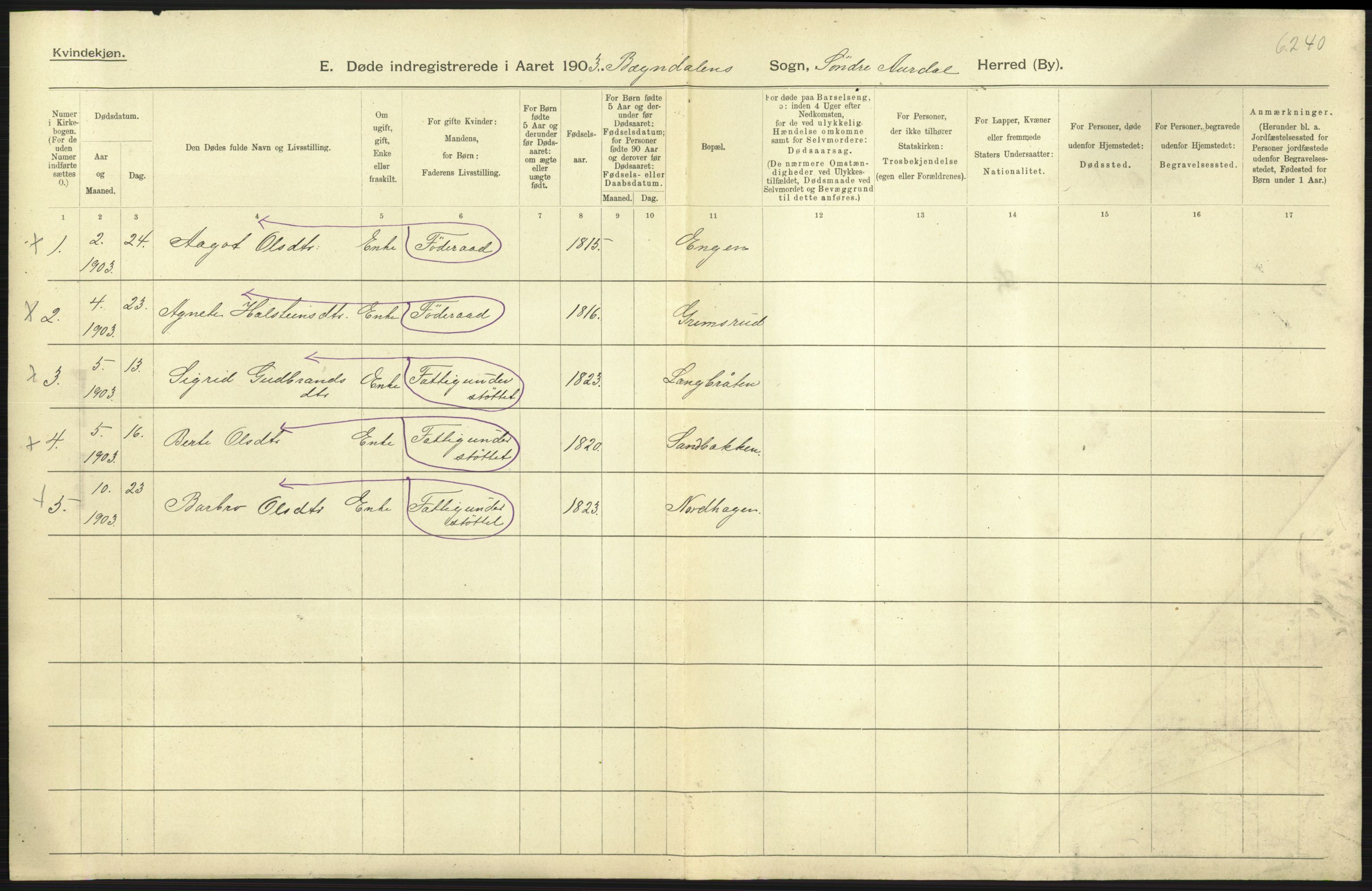 Statistisk sentralbyrå, Sosiodemografiske emner, Befolkning, AV/RA-S-2228/D/Df/Dfa/Dfaa/L0006: Kristians amt: Fødte, gifte, døde, 1903, p. 611