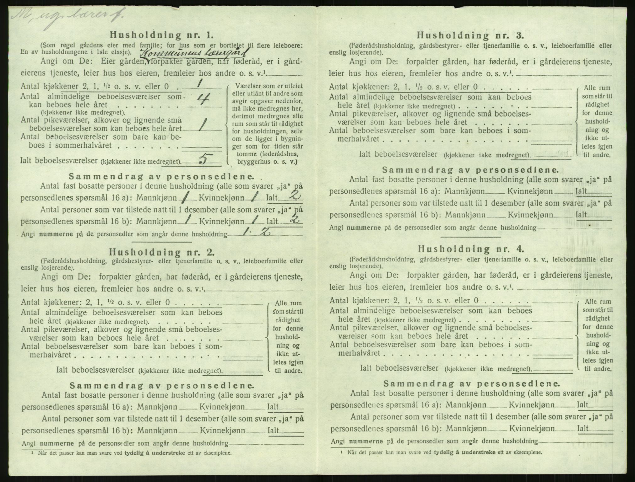 SAK, 1920 census for Holt, 1920, p. 233