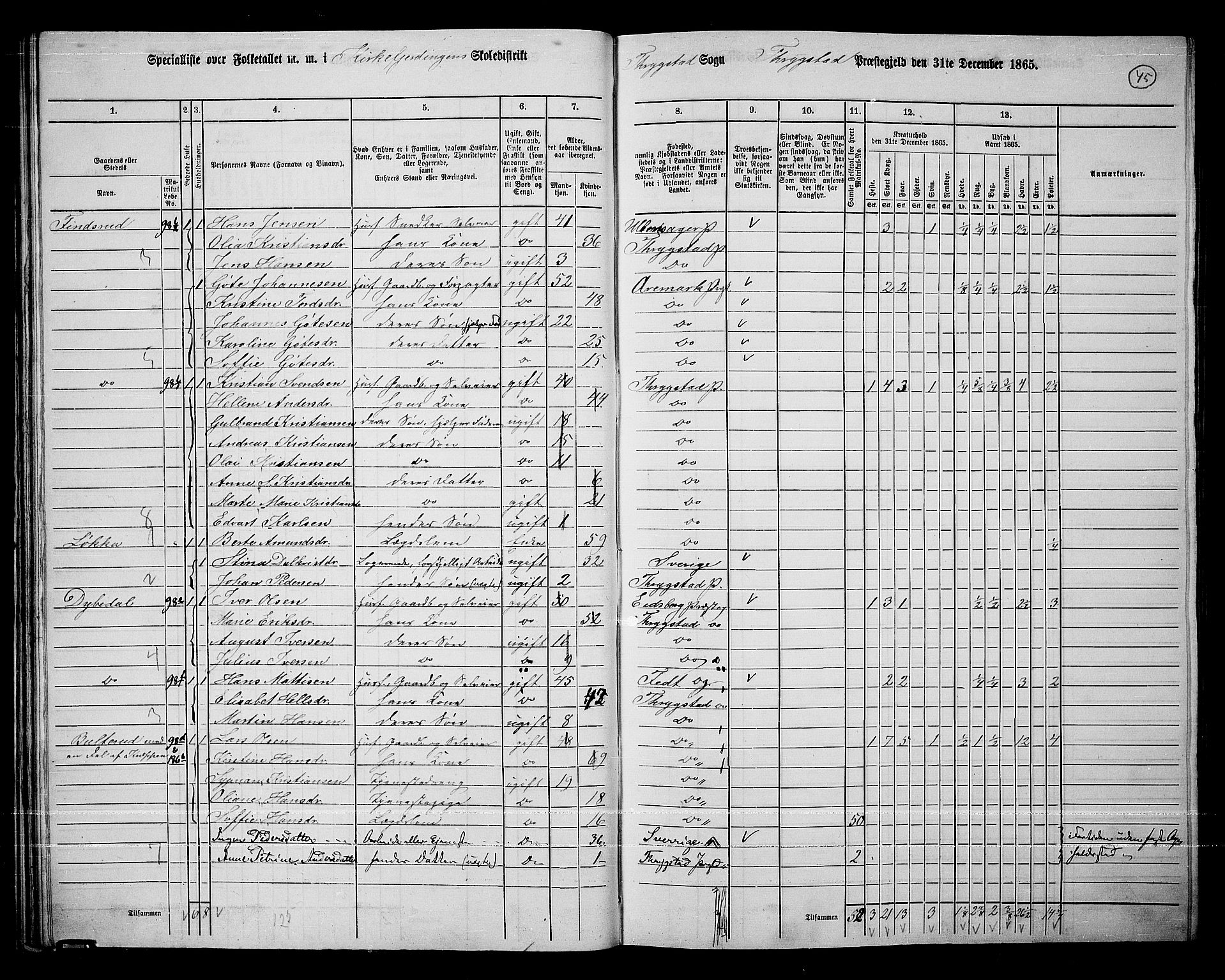 RA, 1865 census for Trøgstad, 1865, p. 44