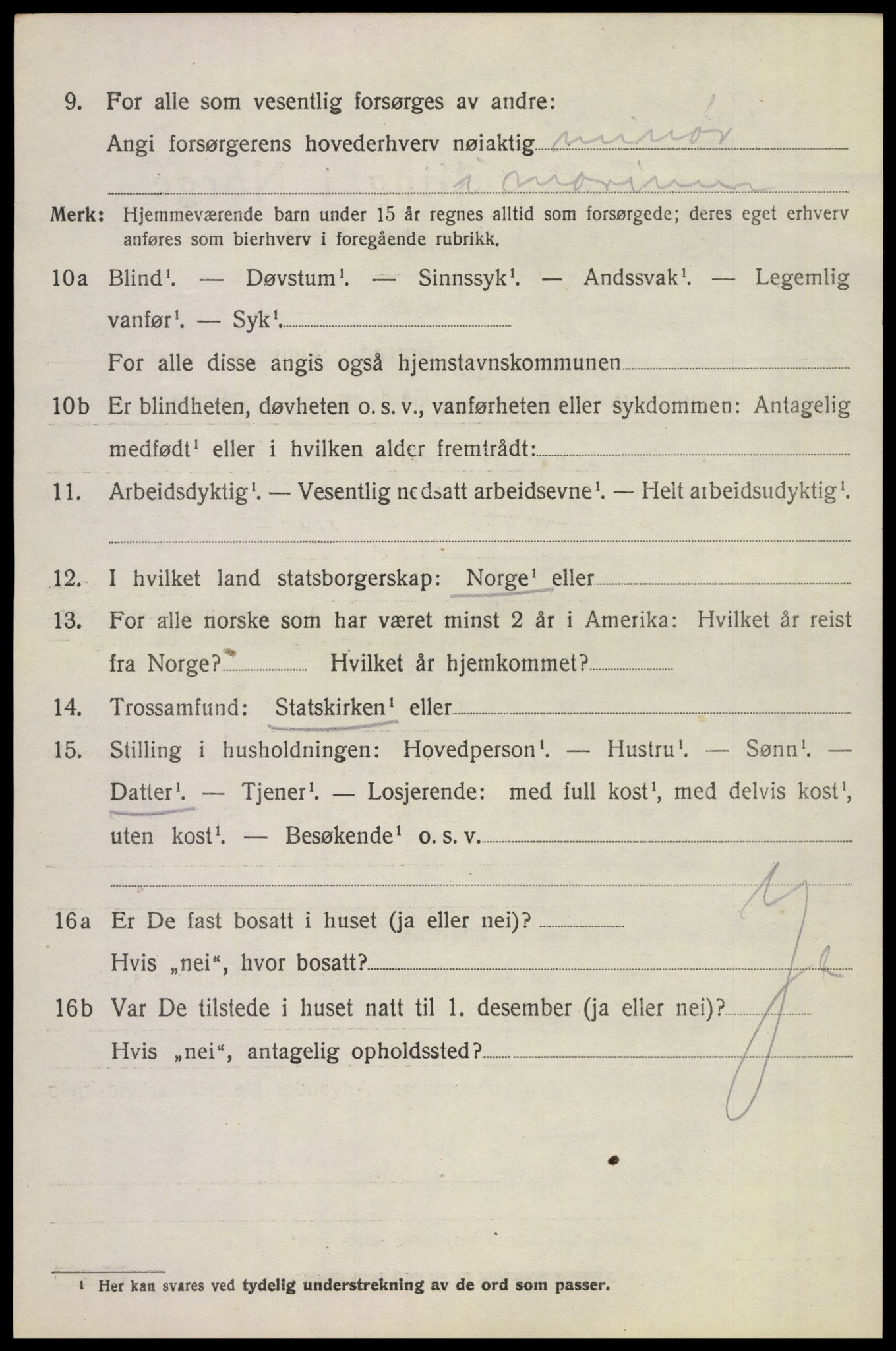 SAKO, 1920 census for Borre, 1920, p. 4951