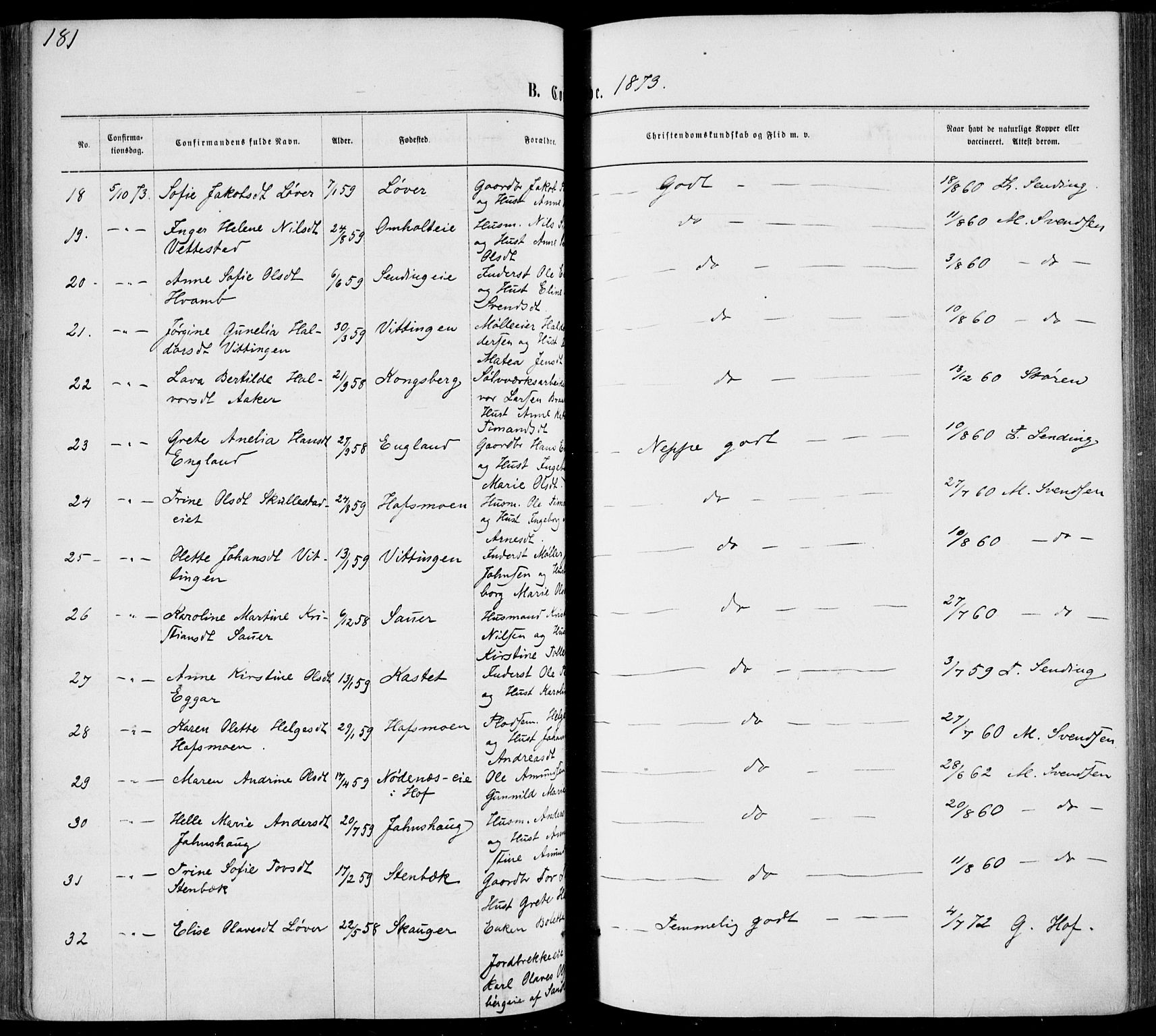 Sandsvær kirkebøker, AV/SAKO-A-244/F/Fa/L0007: Parish register (official) no. I 7, 1869-1877, p. 181