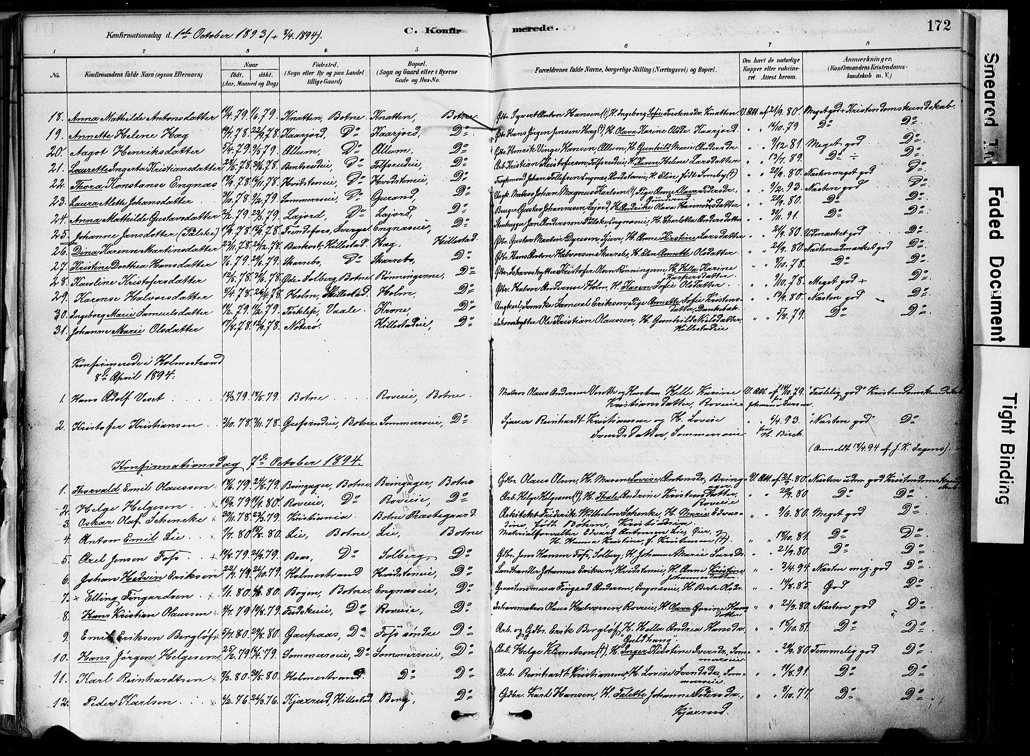 Botne kirkebøker, AV/SAKO-A-340/F/Fa/L0007: Parish register (official) no. I 7, 1878-1910, p. 172