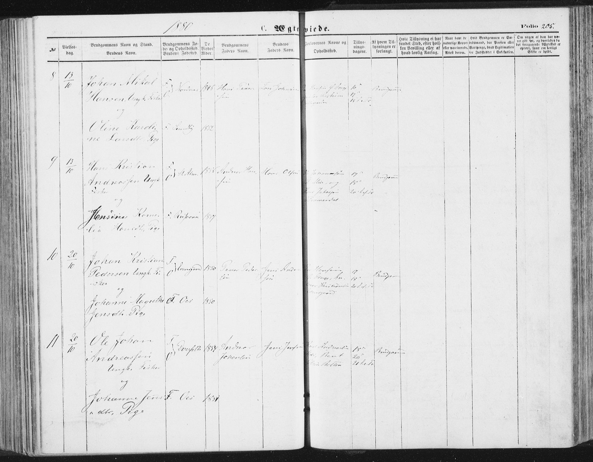 Ministerialprotokoller, klokkerbøker og fødselsregistre - Nordland, SAT/A-1459/847/L0668: Parish register (official) no. 847A08, 1872-1886, p. 205
