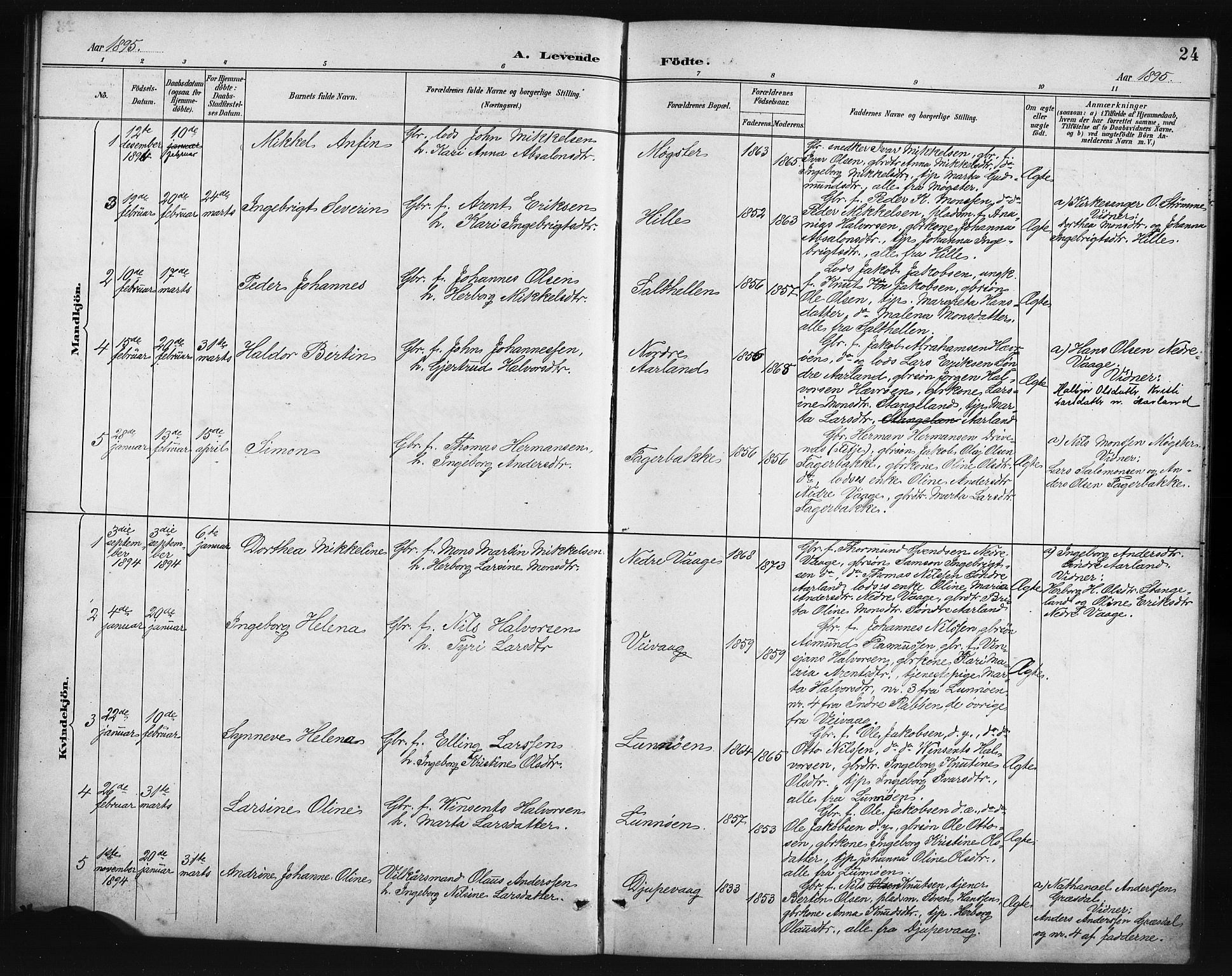 Austevoll Sokneprestembete, SAB/A-74201/H/Hab: Parish register (copy) no. B 4, 1889-1901, p. 24