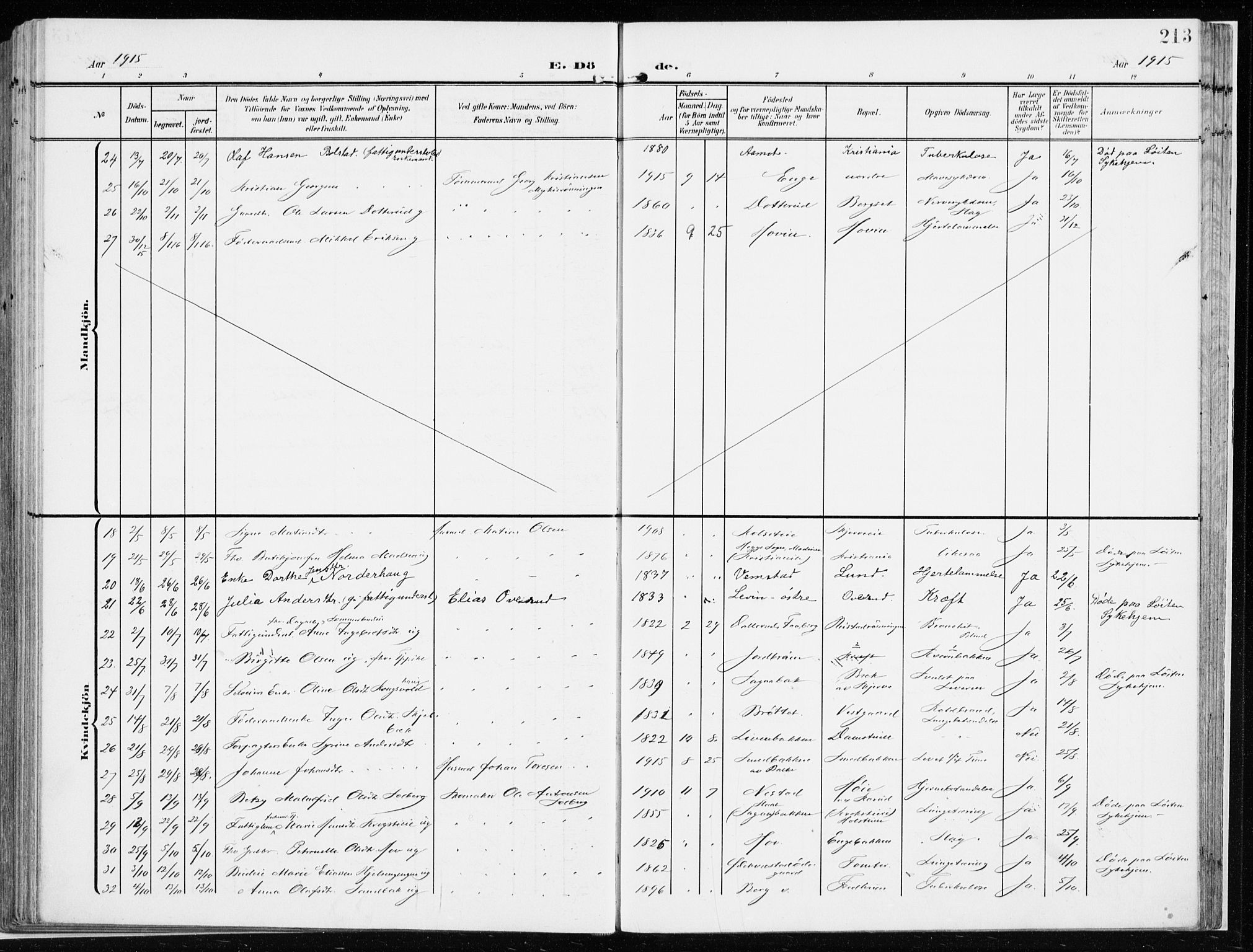 Løten prestekontor, AV/SAH-PREST-022/K/Ka/L0011: Parish register (official) no. 11, 1908-1917, p. 213