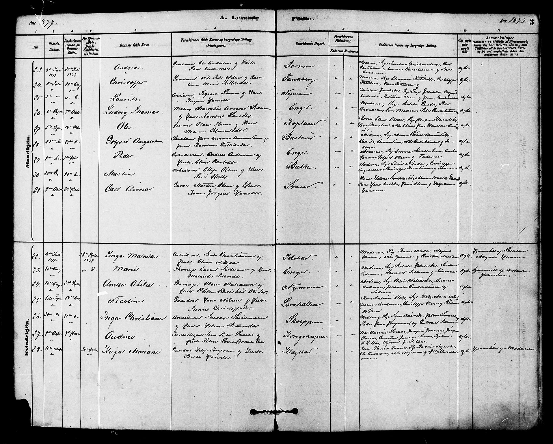 Modum kirkebøker, SAKO/A-234/F/Fa/L0015: Parish register (official) no. 15 /1, 1877-1889, p. 3