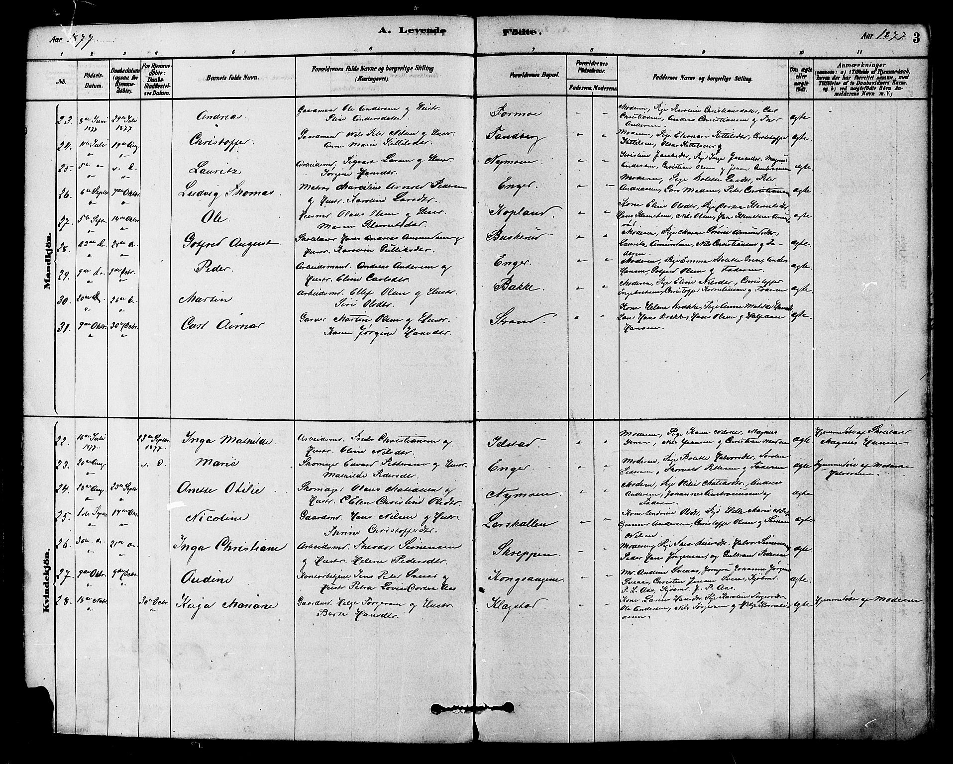 Modum kirkebøker, AV/SAKO-A-234/F/Fa/L0015: Parish register (official) no. 15 /1, 1877-1889, p. 3
