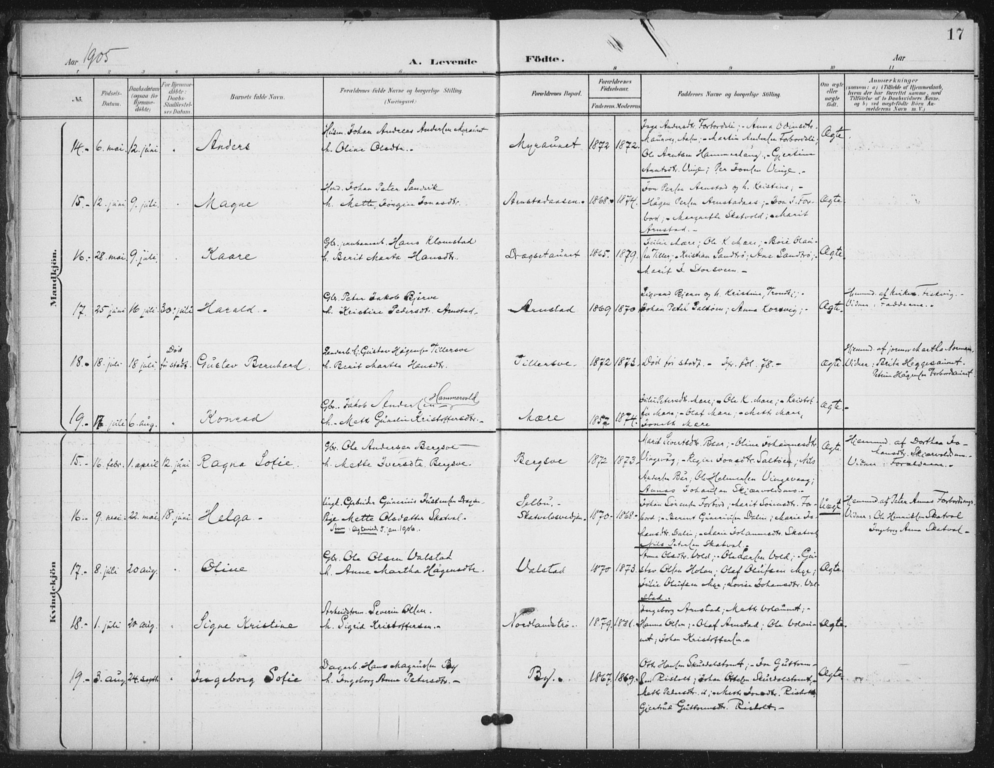 Ministerialprotokoller, klokkerbøker og fødselsregistre - Nord-Trøndelag, AV/SAT-A-1458/712/L0101: Parish register (official) no. 712A02, 1901-1916, p. 17