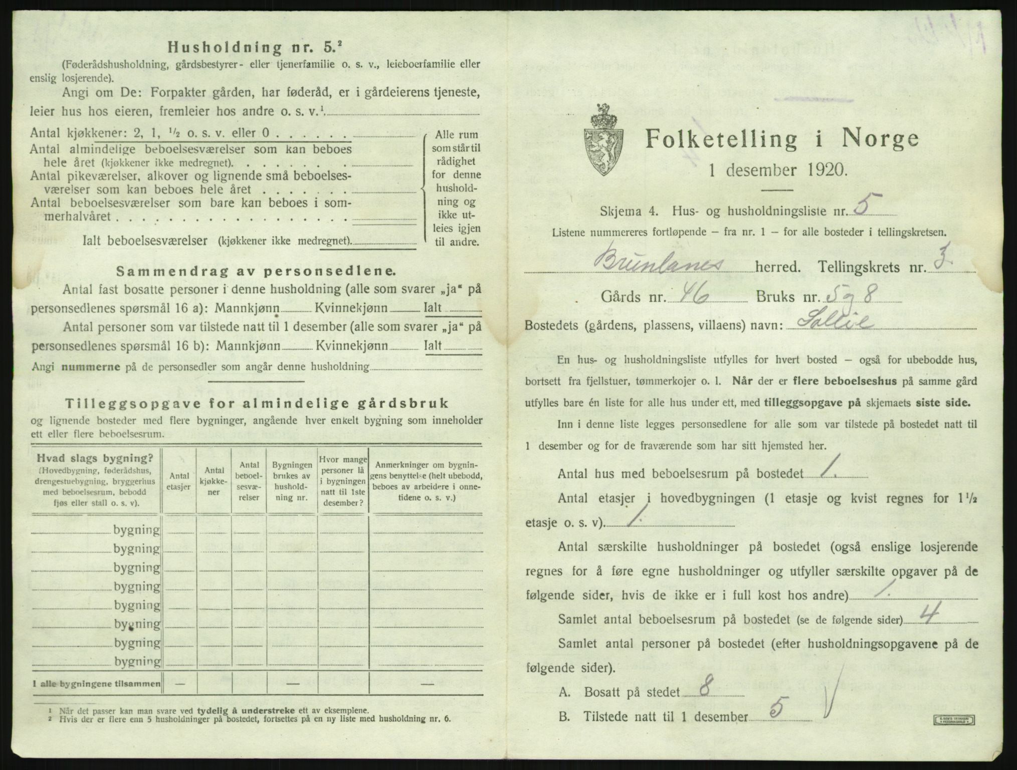 SAKO, 1920 census for Brunlanes, 1920, p. 503