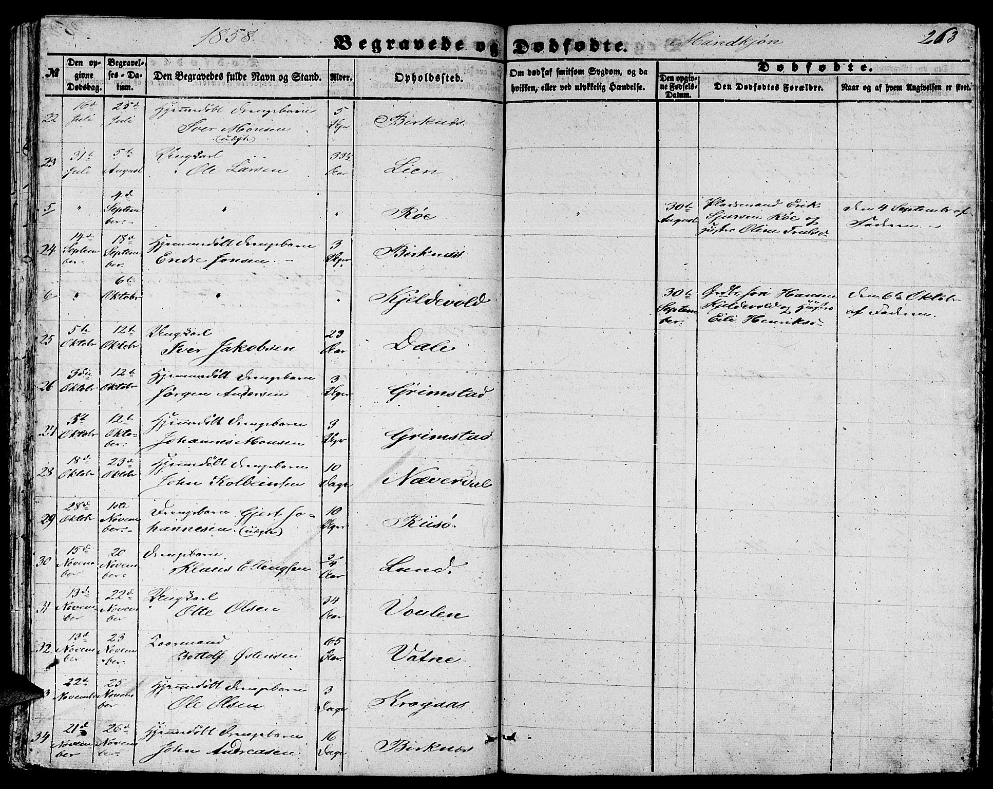 Gulen sokneprestembete, AV/SAB-A-80201/H/Hab/Habb/L0001: Parish register (copy) no. B 1, 1854-1866, p. 263