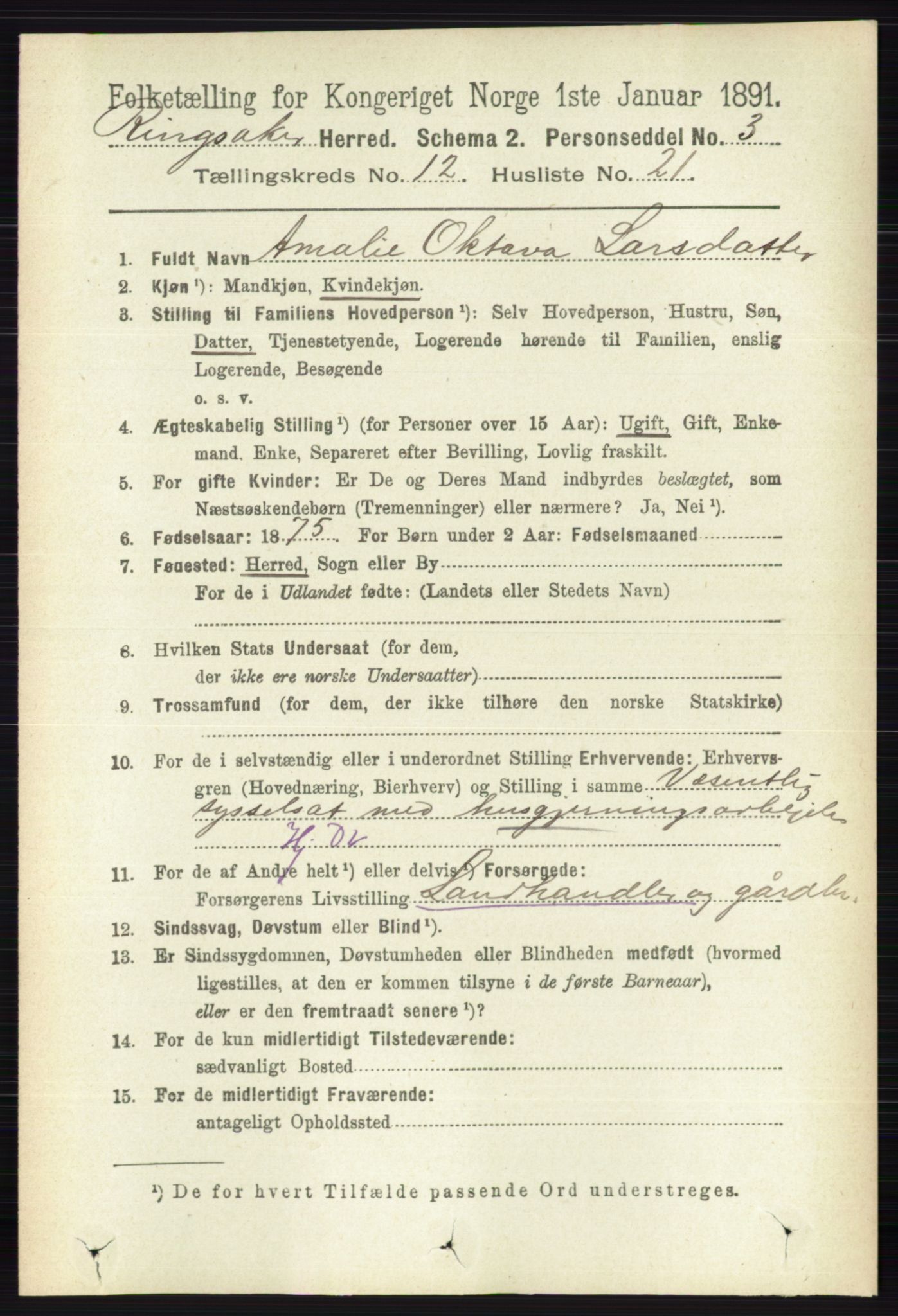 RA, 1891 census for 0412 Ringsaker, 1891, p. 6859