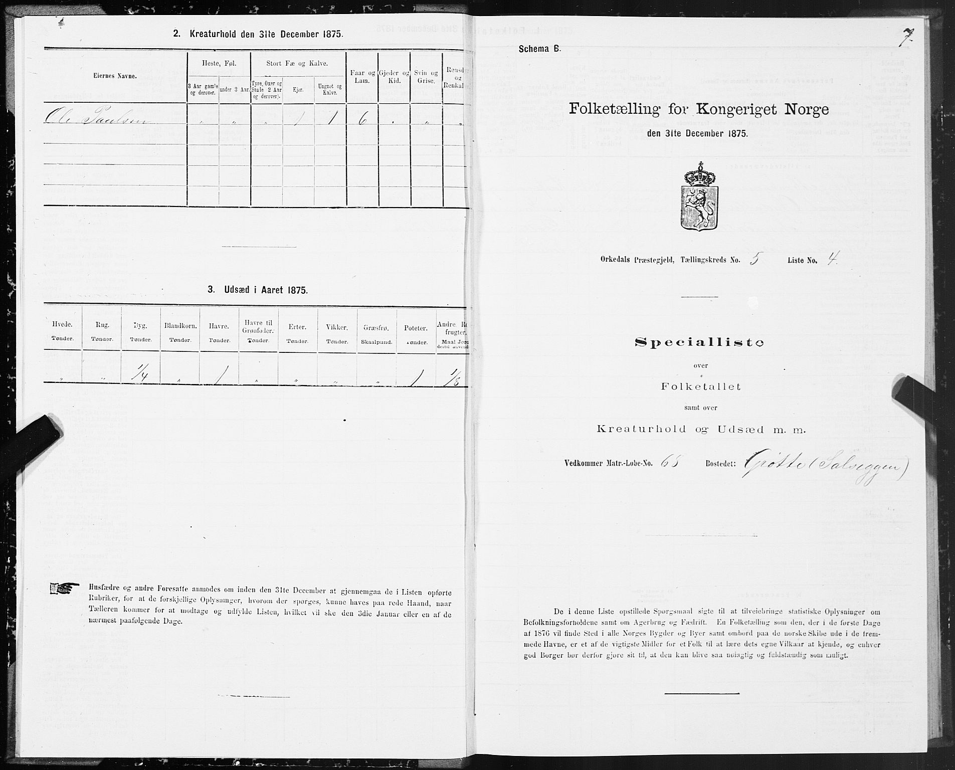 SAT, 1875 census for 1638P Orkdal, 1875, p. 3007