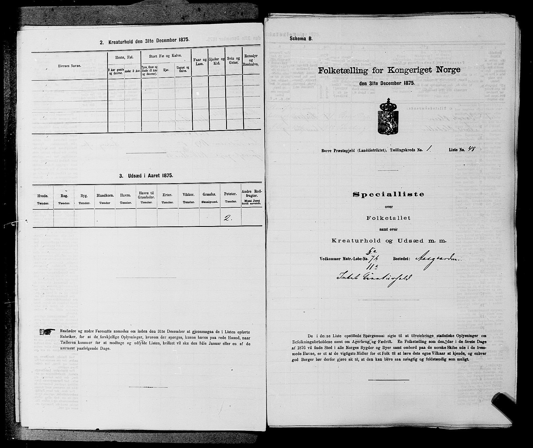 SAKO, 1875 census for 0717L Borre/Borre og Nykirke, 1875, p. 43