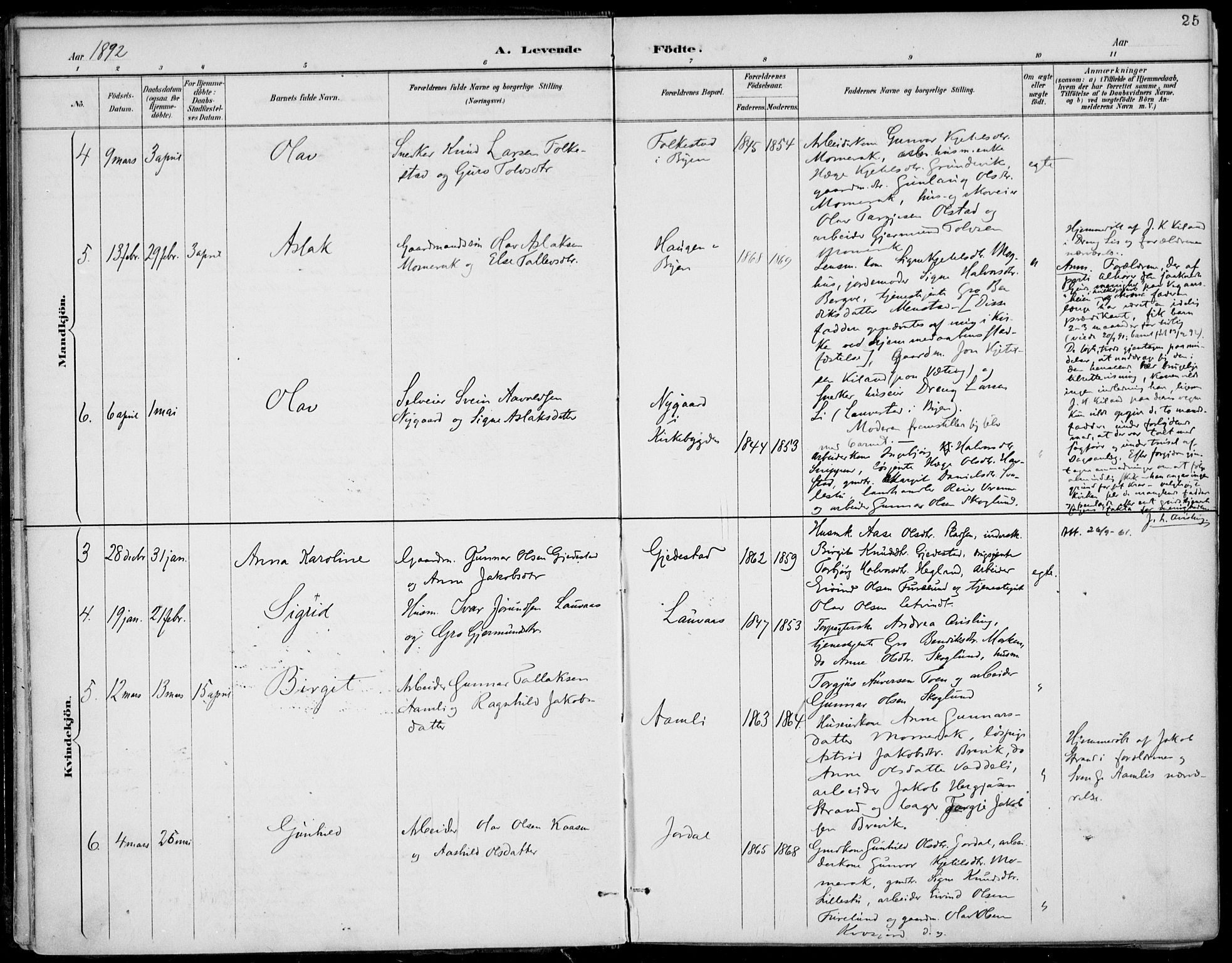 Fyresdal kirkebøker, AV/SAKO-A-263/F/Fa/L0007: Parish register (official) no. I 7, 1887-1914, p. 25