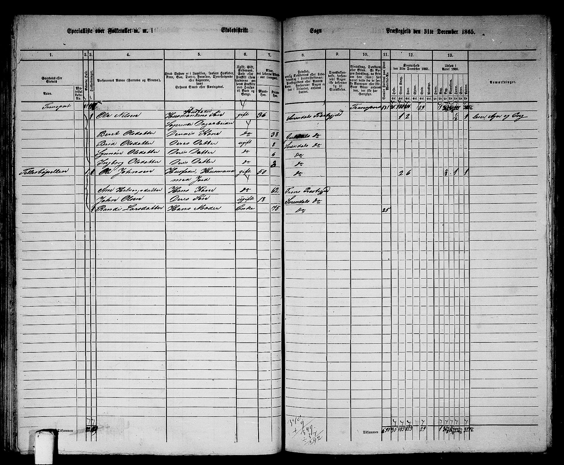 RA, 1865 census for Surnadal, 1865, p. 76