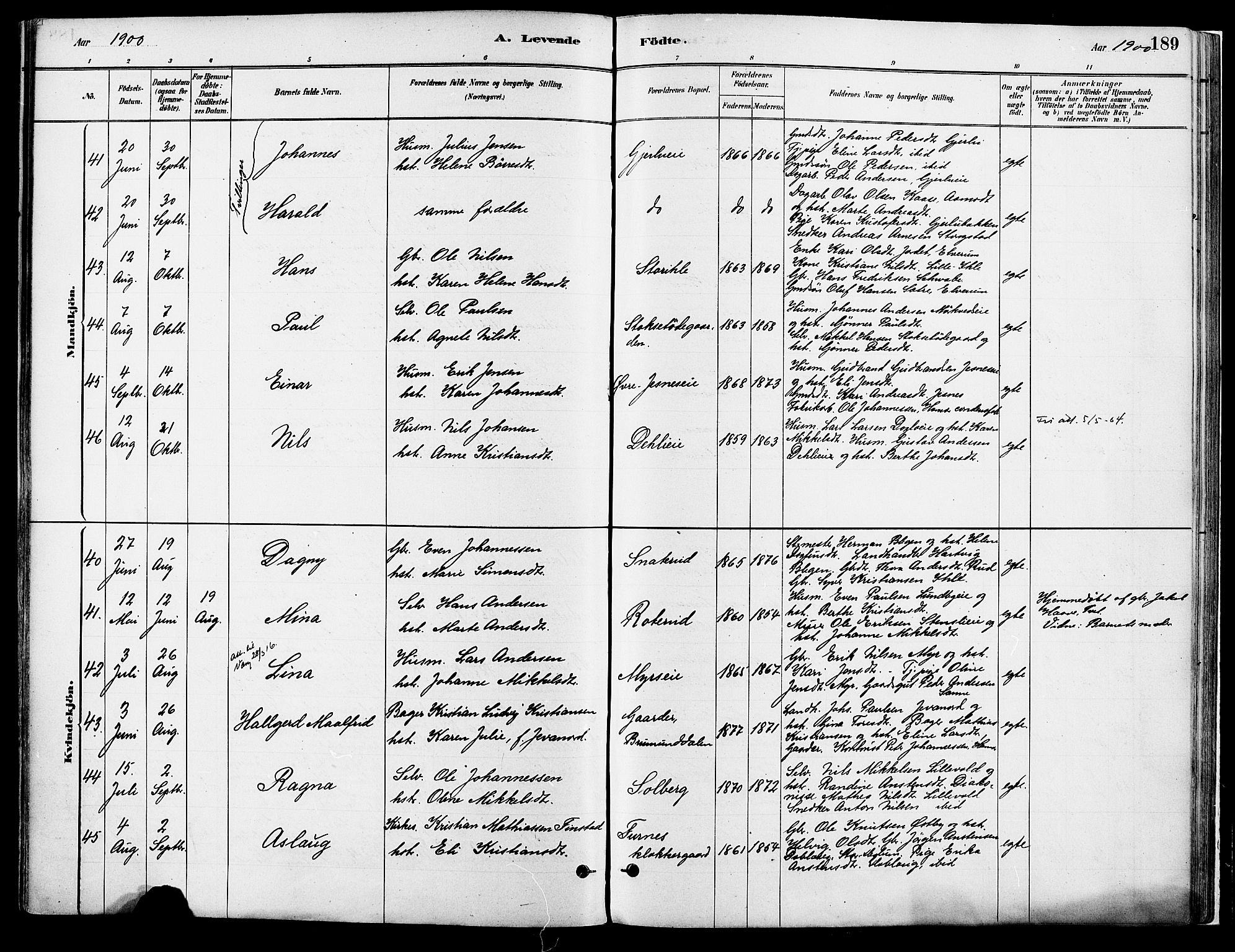 Vang prestekontor, Hedmark, SAH/PREST-008/H/Ha/Haa/L0018A: Parish register (official) no. 18A, 1880-1906, p. 189