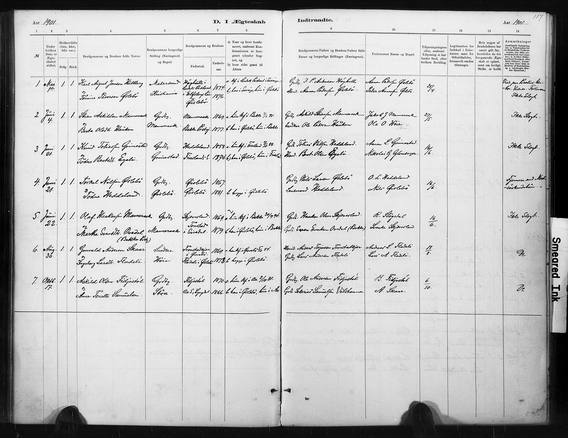 Holum sokneprestkontor, AV/SAK-1111-0022/F/Fa/Fac/L0004: Parish register (official) no. A 4, 1884-1907, p. 117