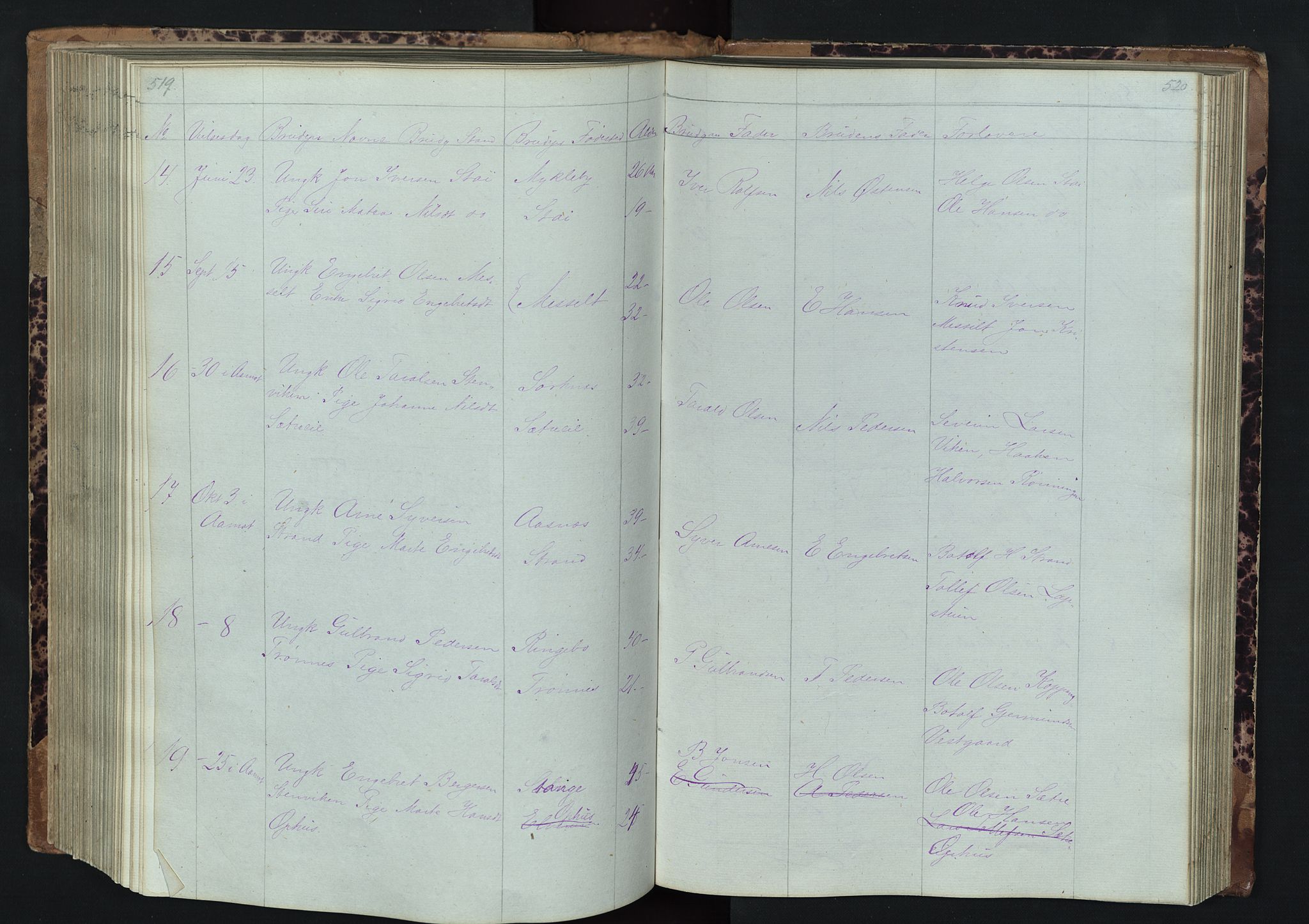 Stor-Elvdal prestekontor, AV/SAH-PREST-052/H/Ha/Hab/L0001: Parish register (copy) no. 1 /1, 1860-1894, p. 519-520