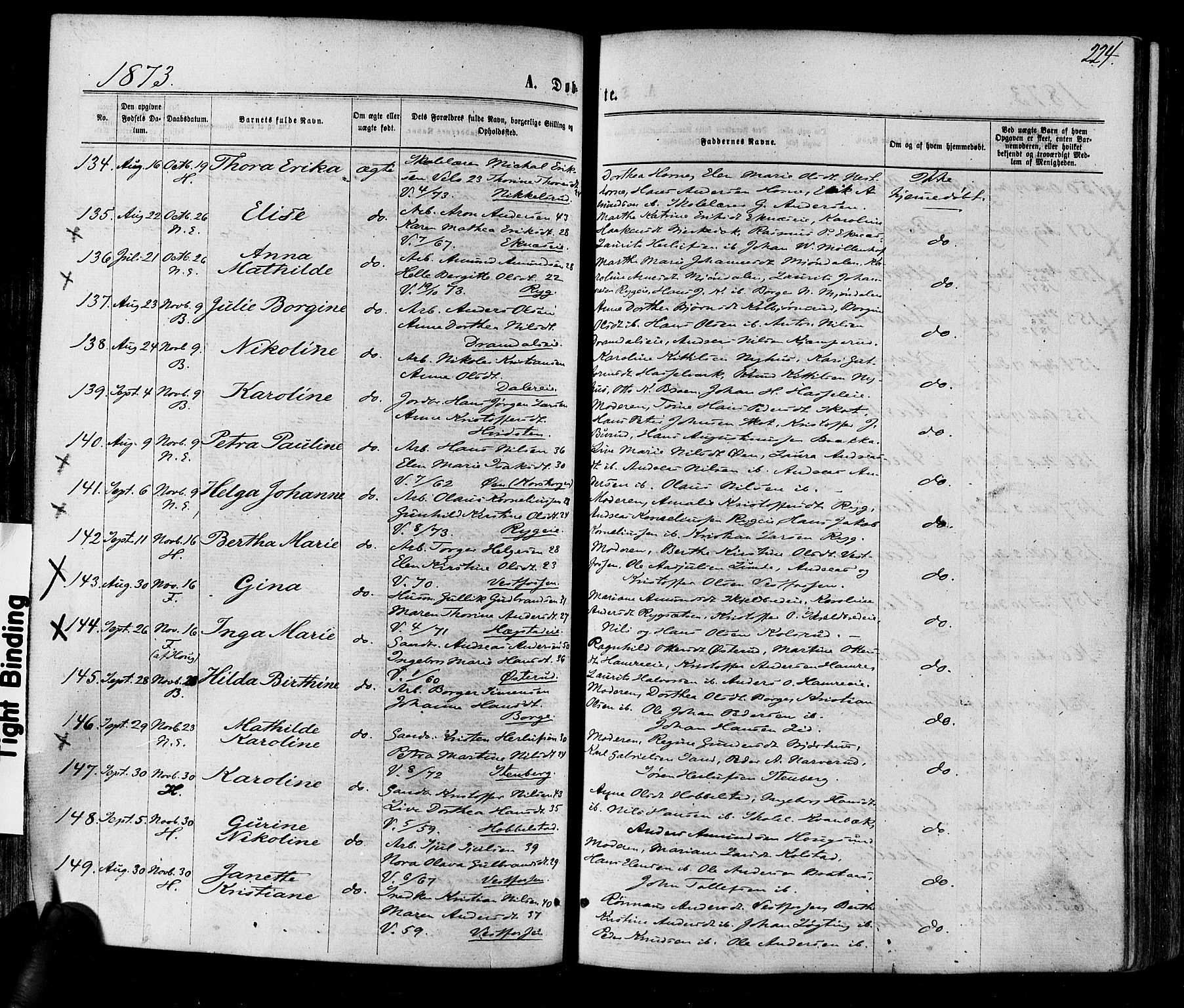 Eiker kirkebøker, AV/SAKO-A-4/F/Fa/L0017: Parish register (official) no. I 17, 1869-1877, p. 224