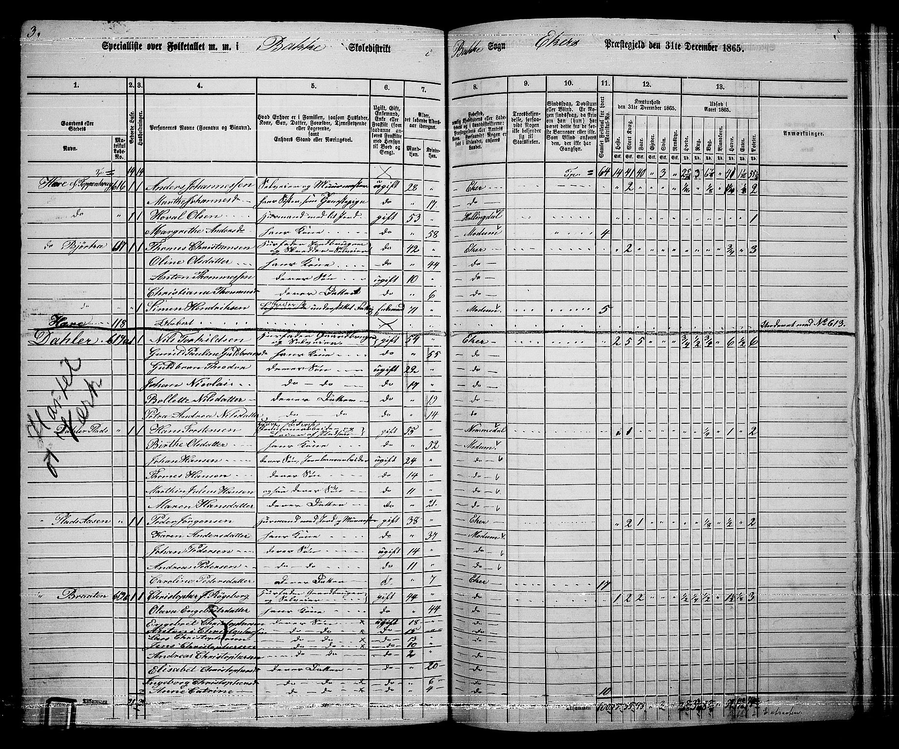 RA, 1865 census for Eiker, 1865, p. 438