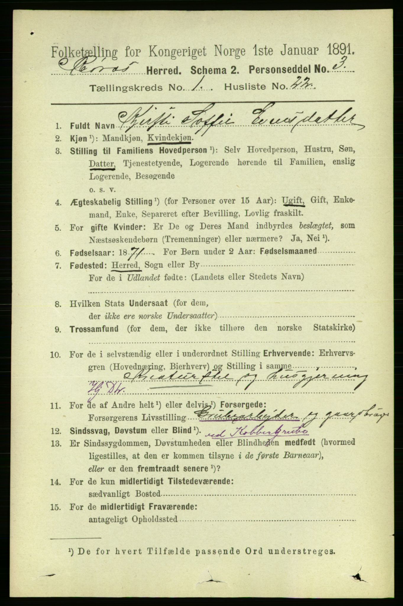 RA, 1891 census for 1640 Røros, 1891, p. 217
