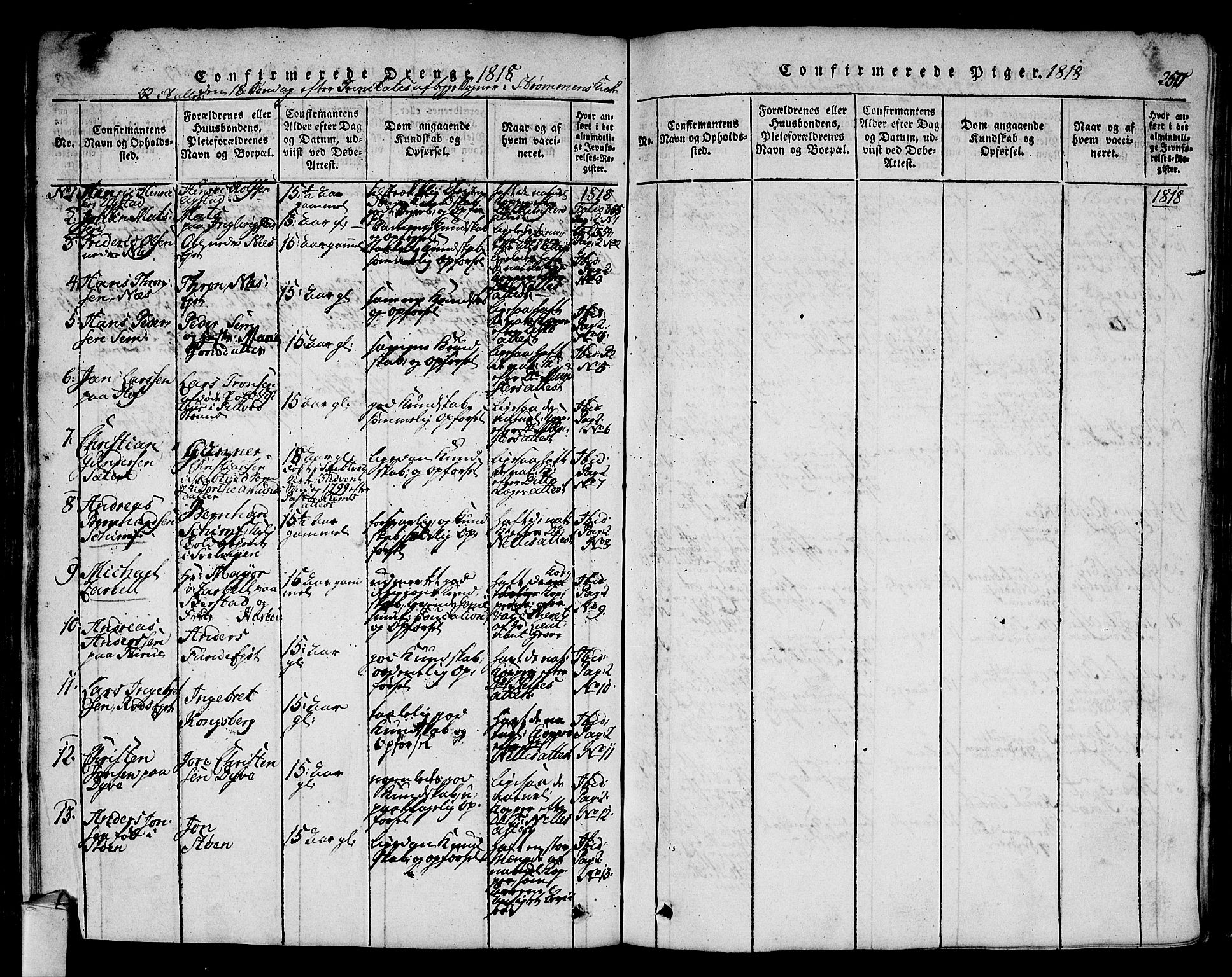 Hurum kirkebøker, SAKO/A-229/F/Fa/L0009: Parish register (official) no. 9, 1816-1826, p. 250