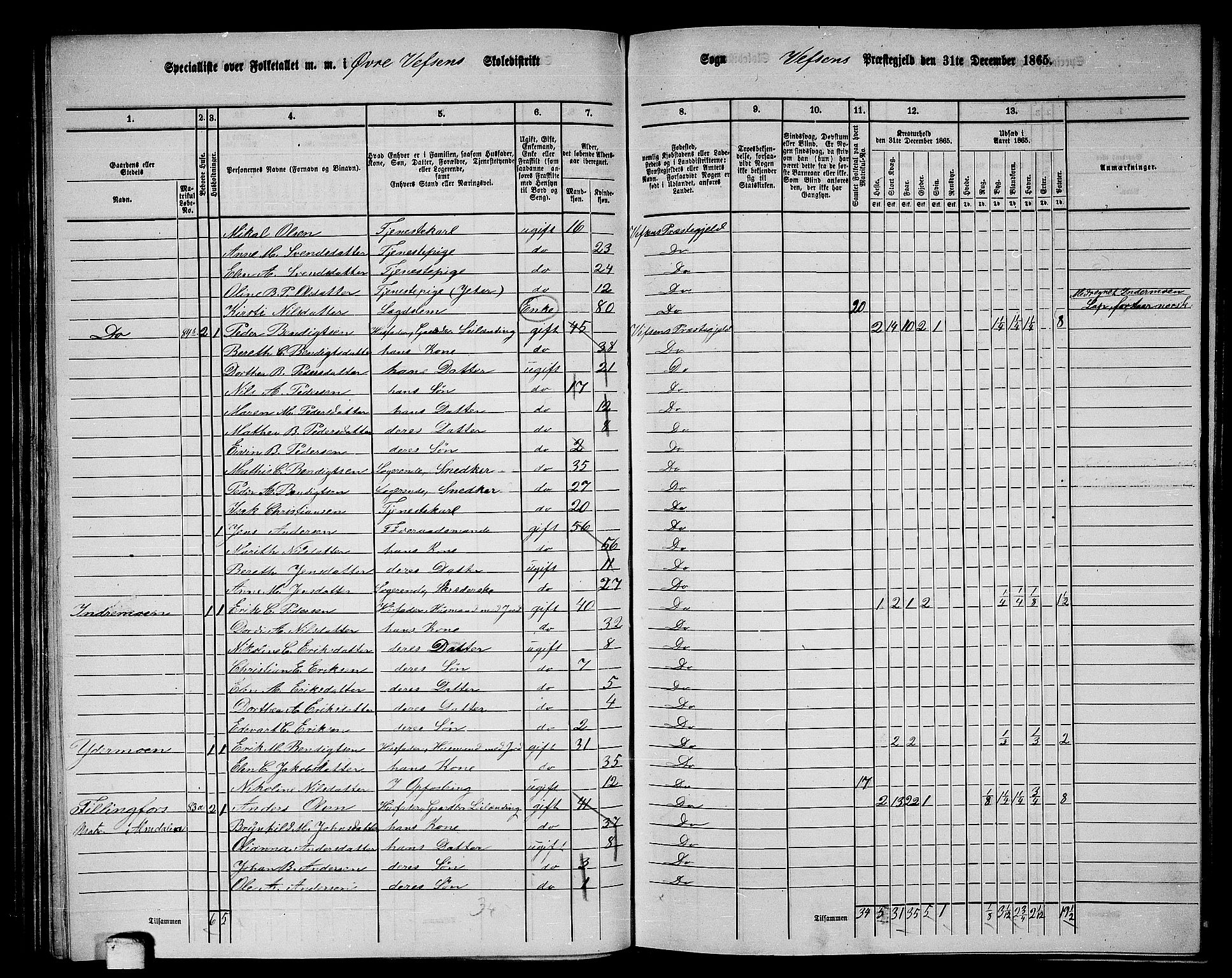 RA, 1865 census for Vefsn, 1865, p. 107