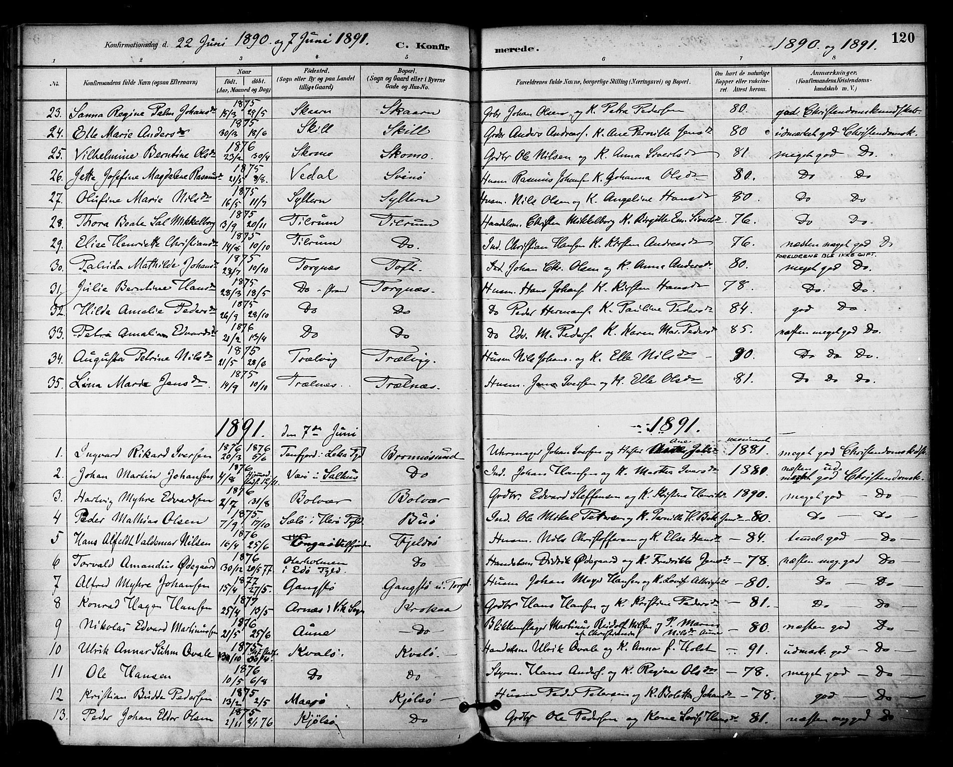 Ministerialprotokoller, klokkerbøker og fødselsregistre - Nordland, AV/SAT-A-1459/813/L0200: Parish register (official) no. 813A10, 1886-1900, p. 120