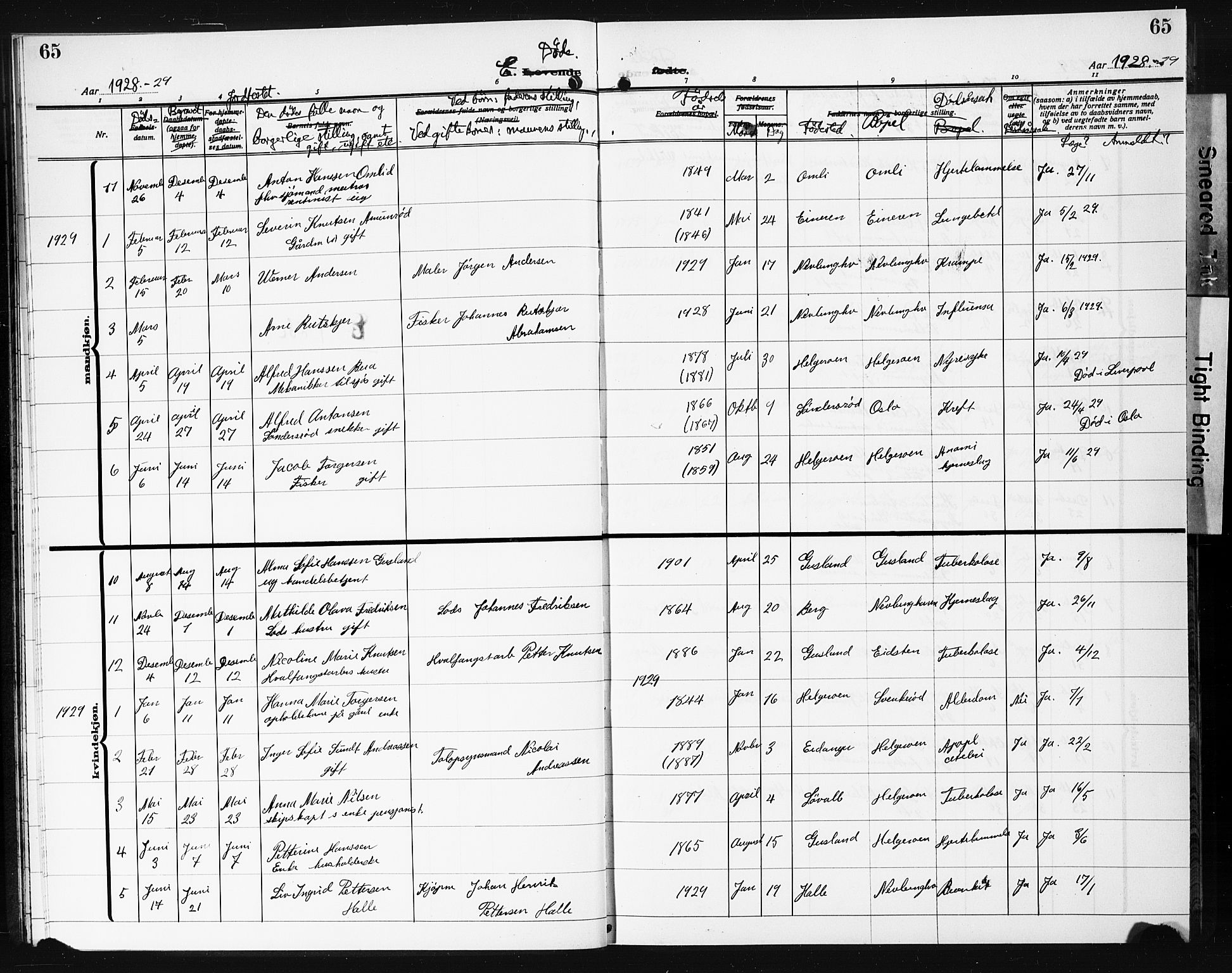 Brunlanes kirkebøker, AV/SAKO-A-342/G/Gb/L0004: Parish register (copy) no. II 4, 1928-1931, p. 65