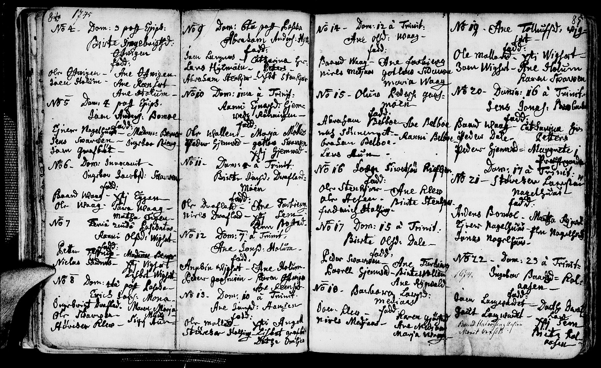 Ministerialprotokoller, klokkerbøker og fødselsregistre - Nord-Trøndelag, AV/SAT-A-1458/749/L0467: Parish register (official) no. 749A01, 1733-1787, p. 84-85