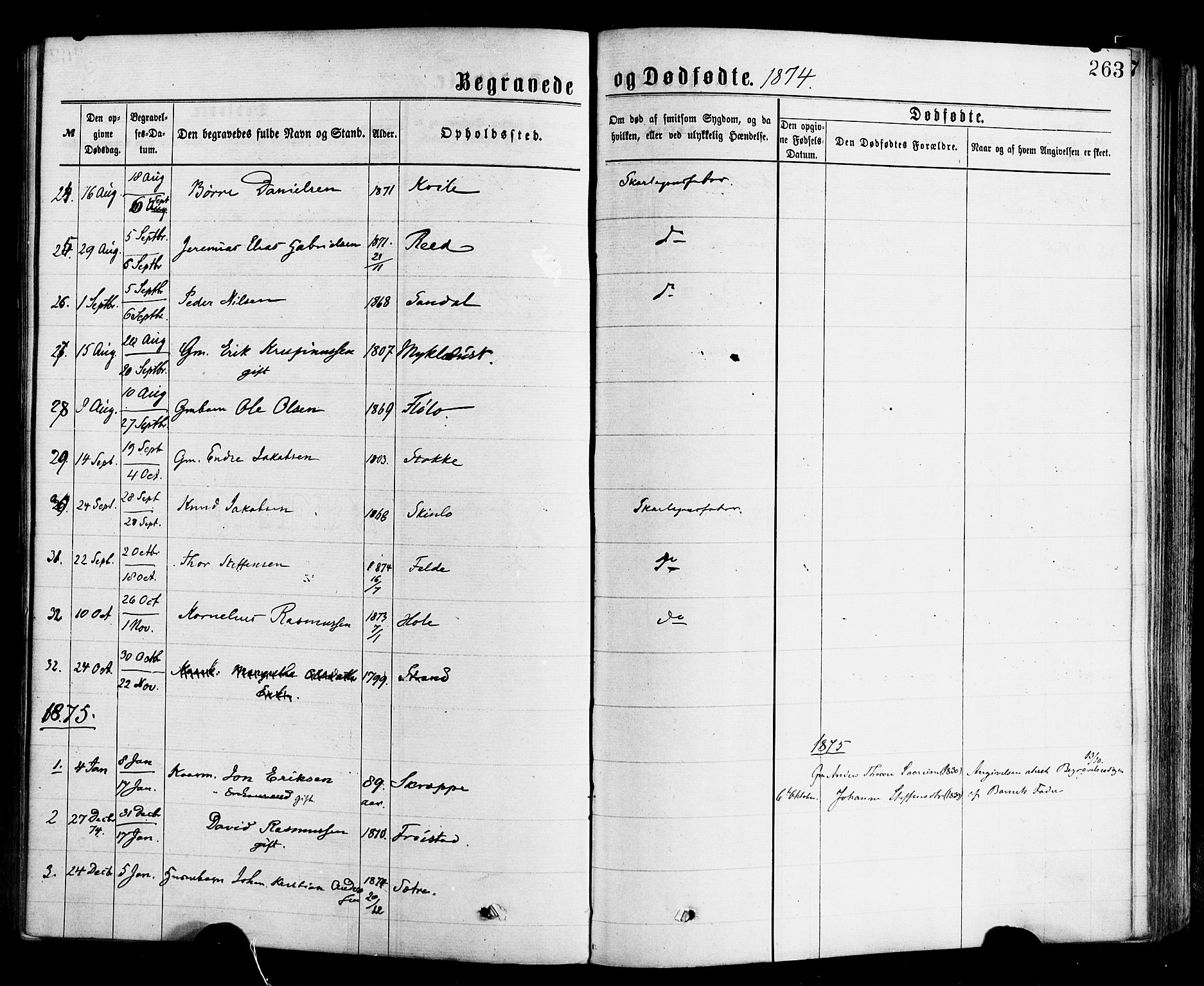 Gloppen sokneprestembete, AV/SAB-A-80101/H/Haa/Haac/L0001: Parish register (official) no. C 1, 1871-1886, p. 263