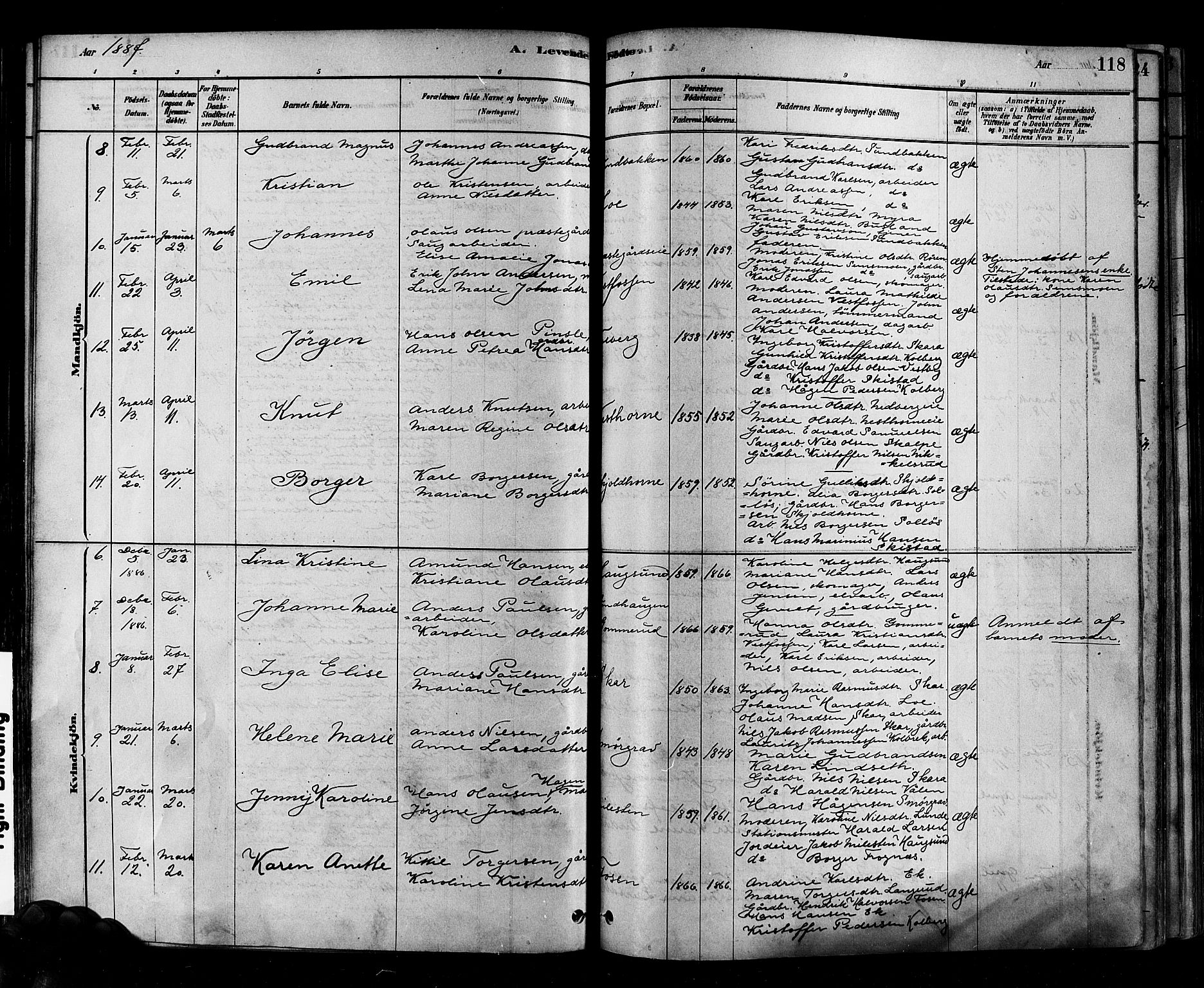 Eiker kirkebøker, SAKO/A-4/F/Fb/L0001: Parish register (official) no. II 1, 1878-1888, p. 118
