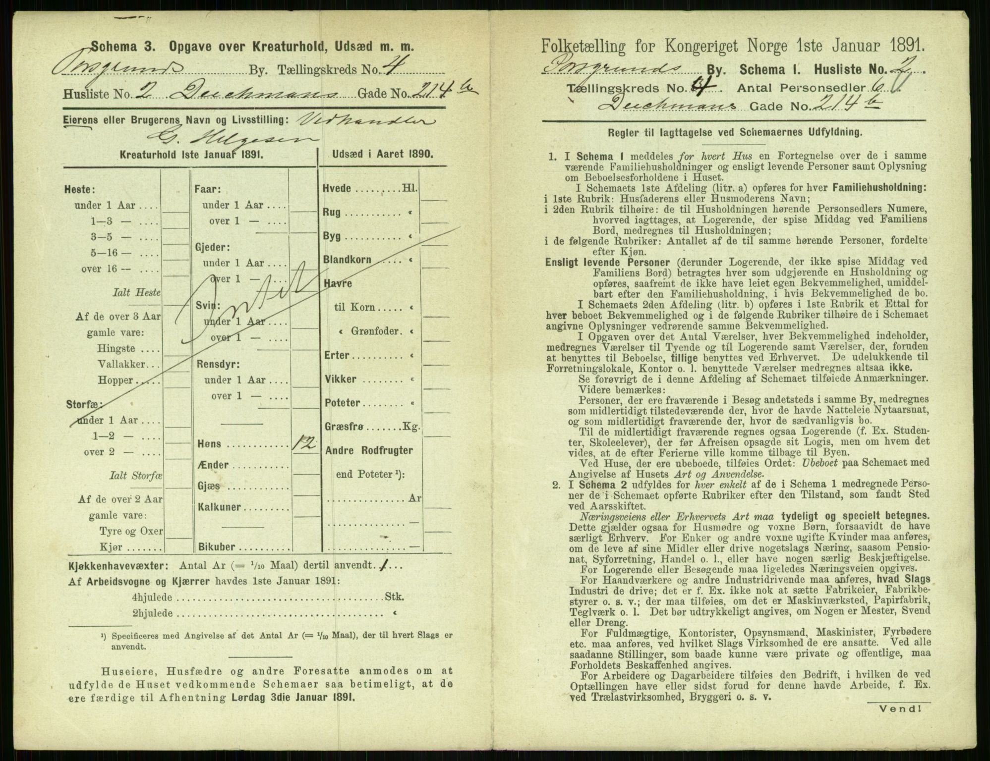 RA, 1891 census for 0805 Porsgrunn, 1891, p. 785