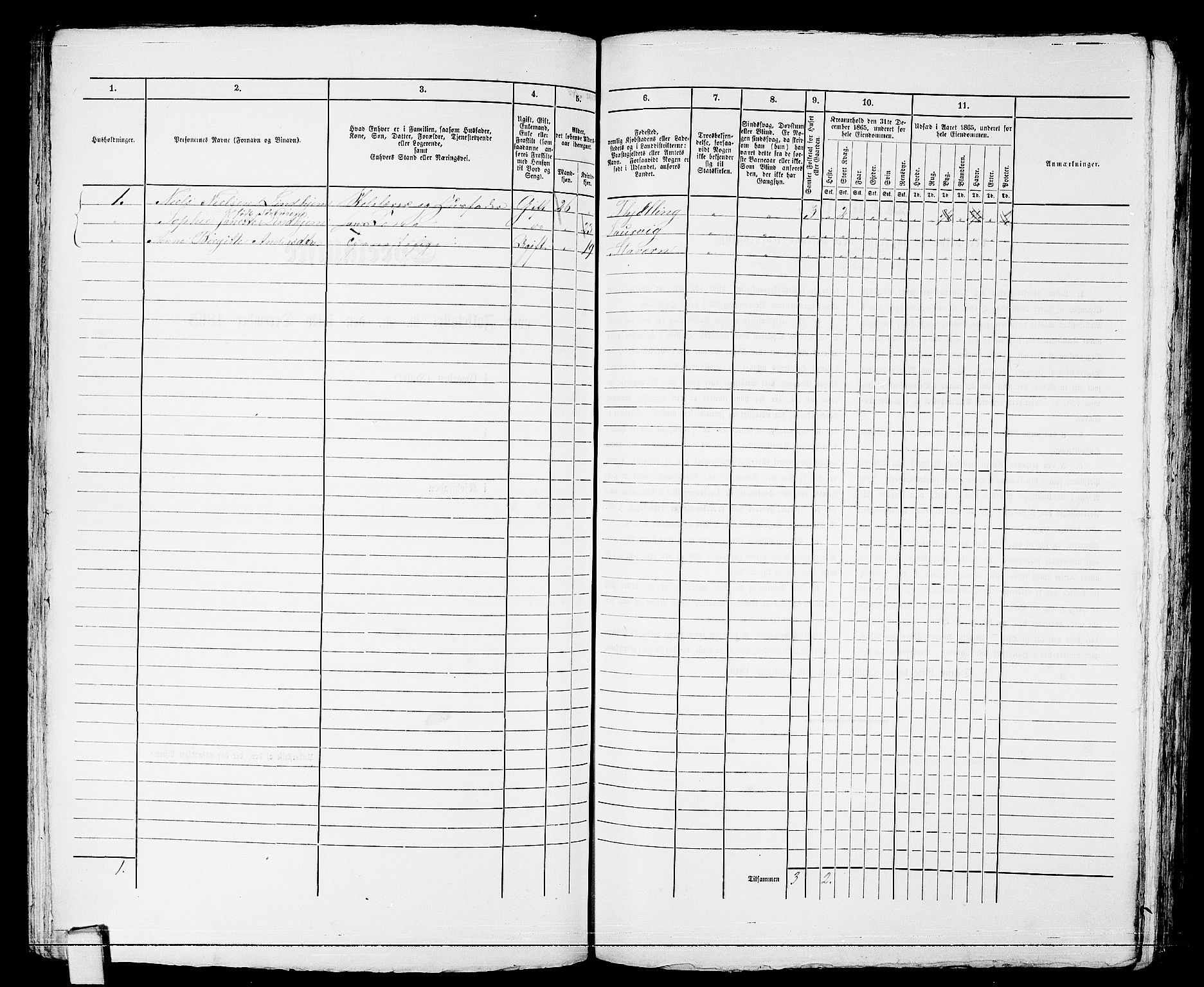 RA, 1865 census for Larvik, 1865, p. 256