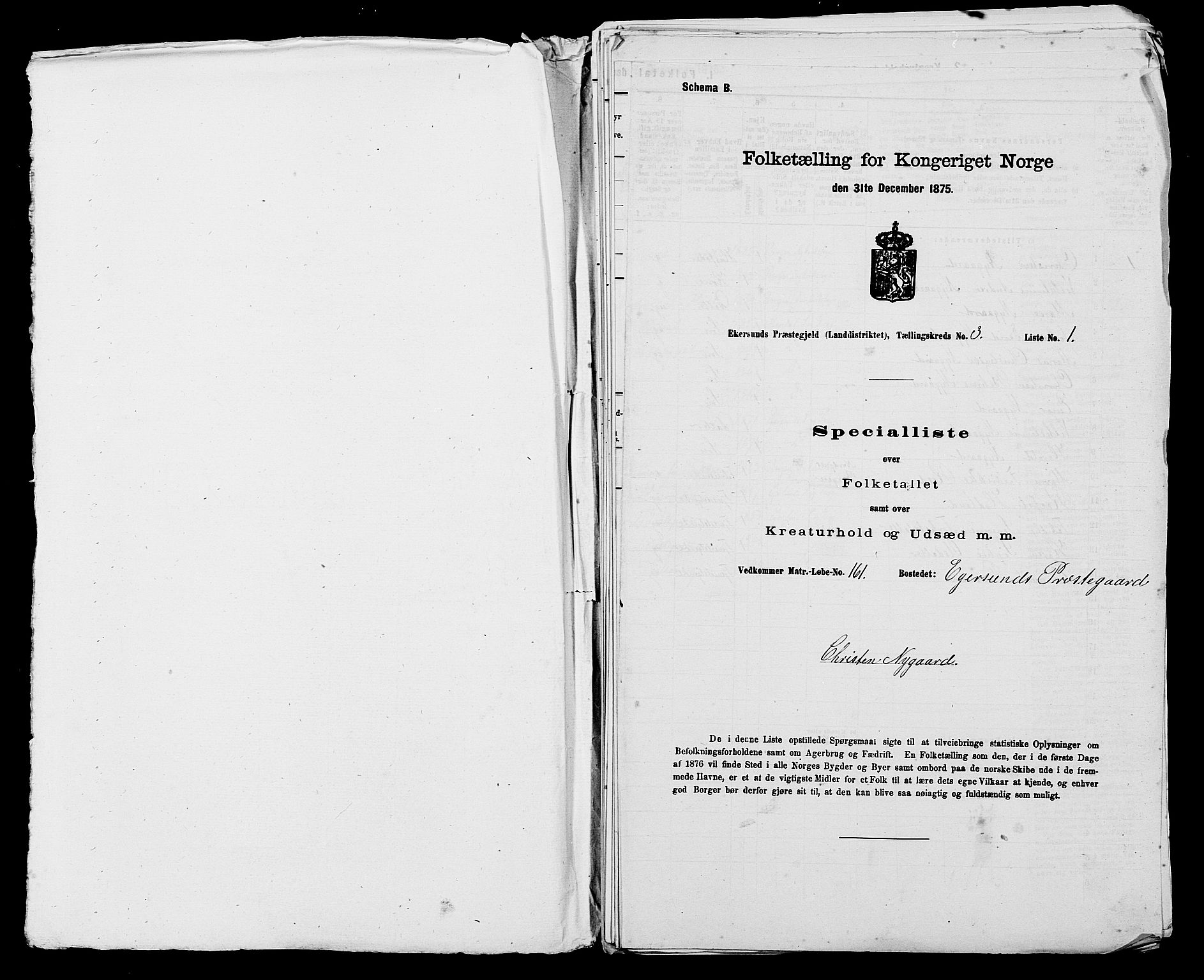 SAST, 1875 census for 1116L Eigersund/Eigersund og Ogna, 1875, p. 336