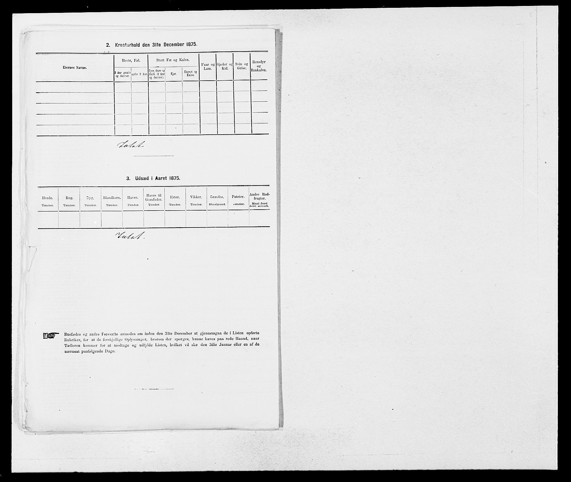 SAB, 1875 census for 1425P Hafslo, 1875, p. 816