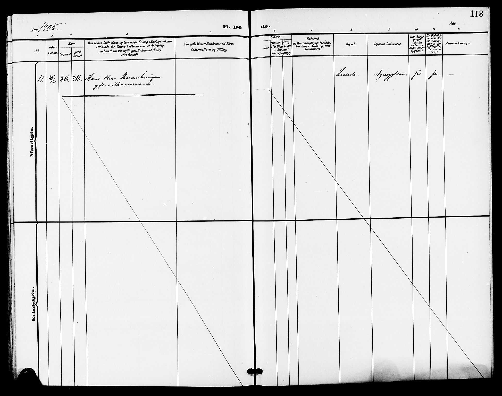 Lunde kirkebøker, SAKO/A-282/G/Ga/L0003: Parish register (copy) no. I 3, 1896-1905, p. 113