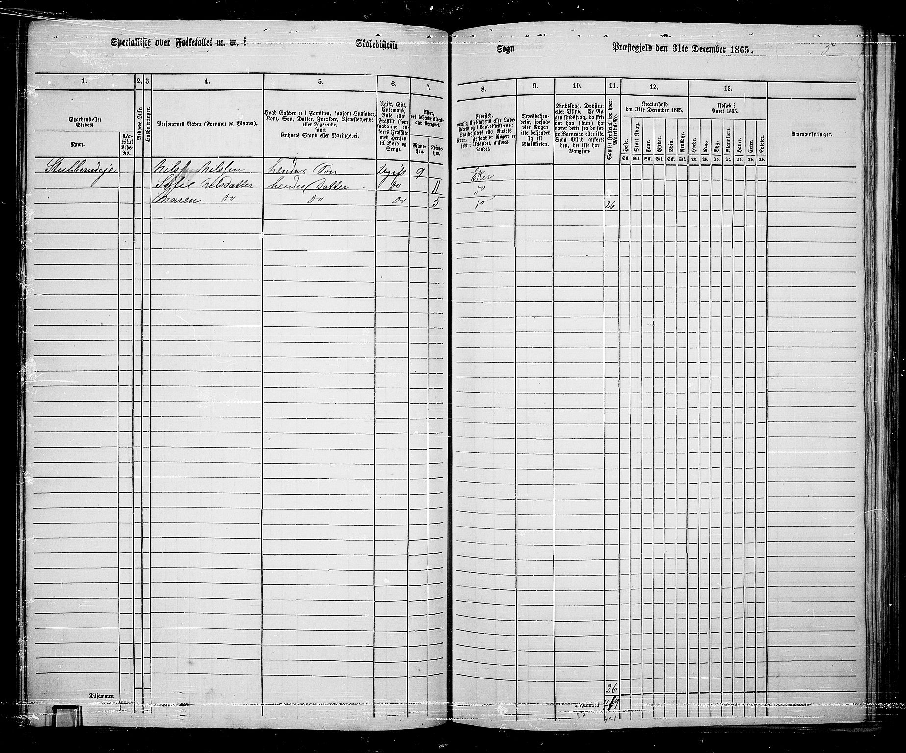 RA, 1865 census for Eiker, 1865, p. 122