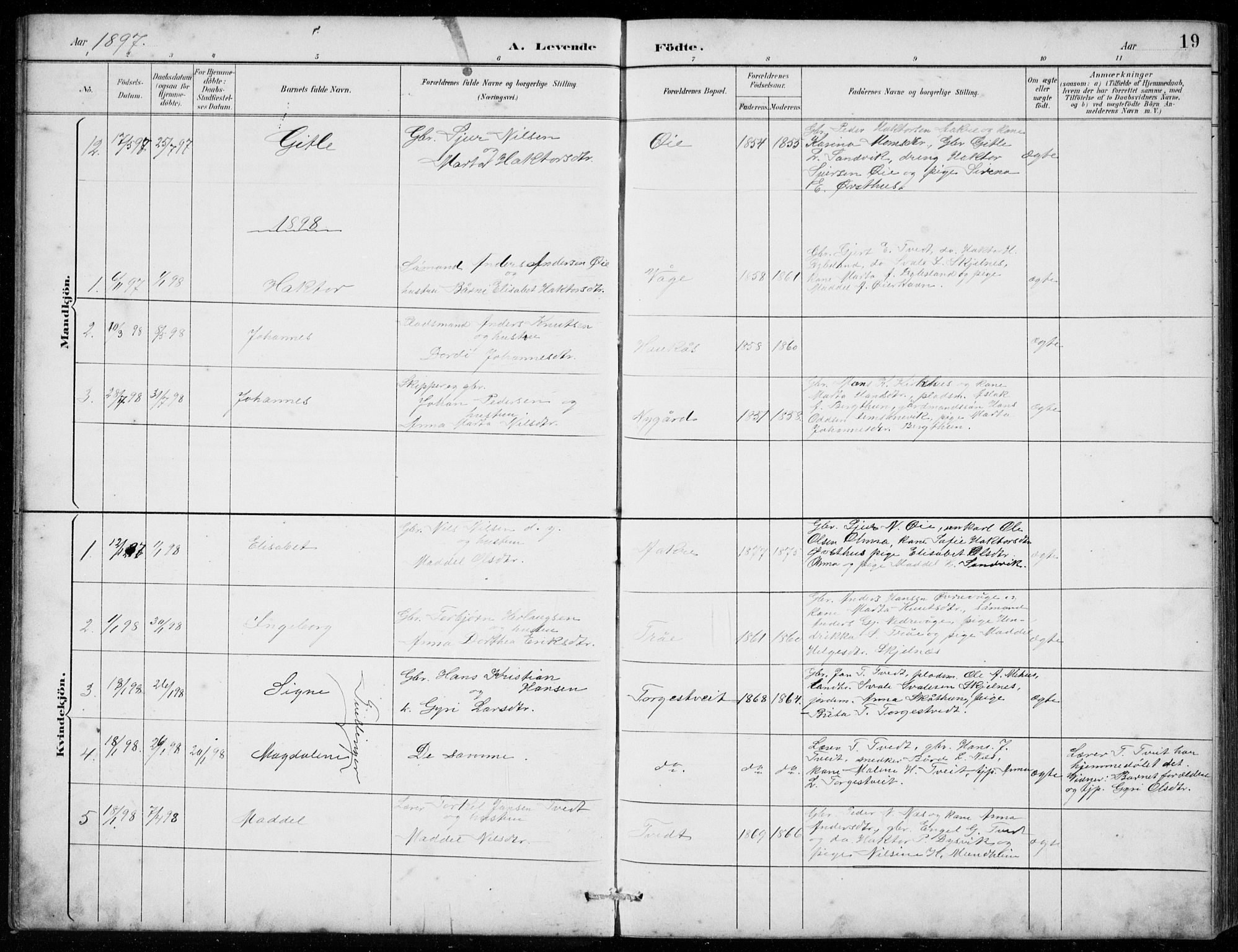 Strandebarm sokneprestembete, AV/SAB-A-78401/H/Hab: Parish register (copy) no. C  1, 1891-1913, p. 19