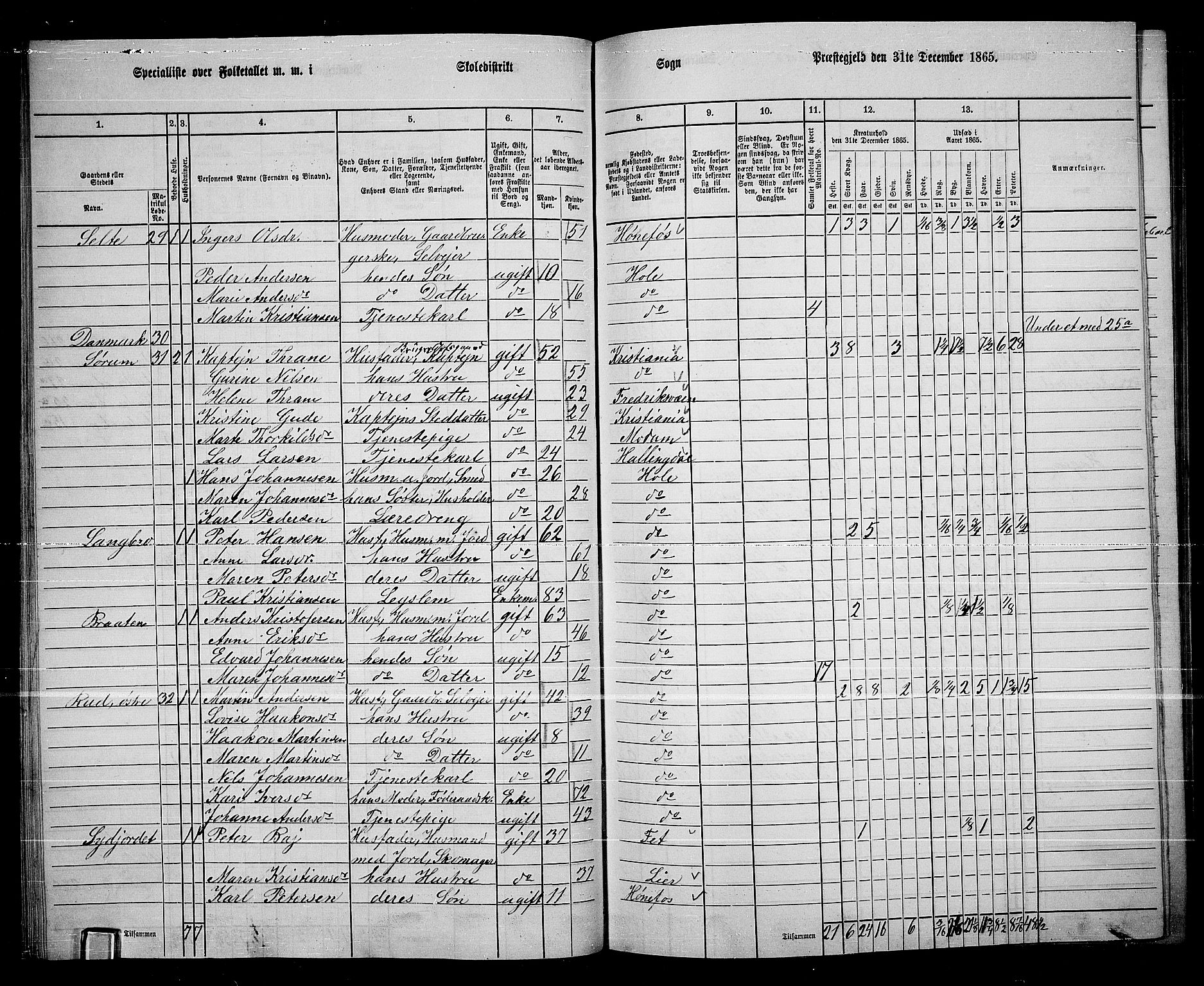 RA, 1865 census for Hole, 1865, p. 33